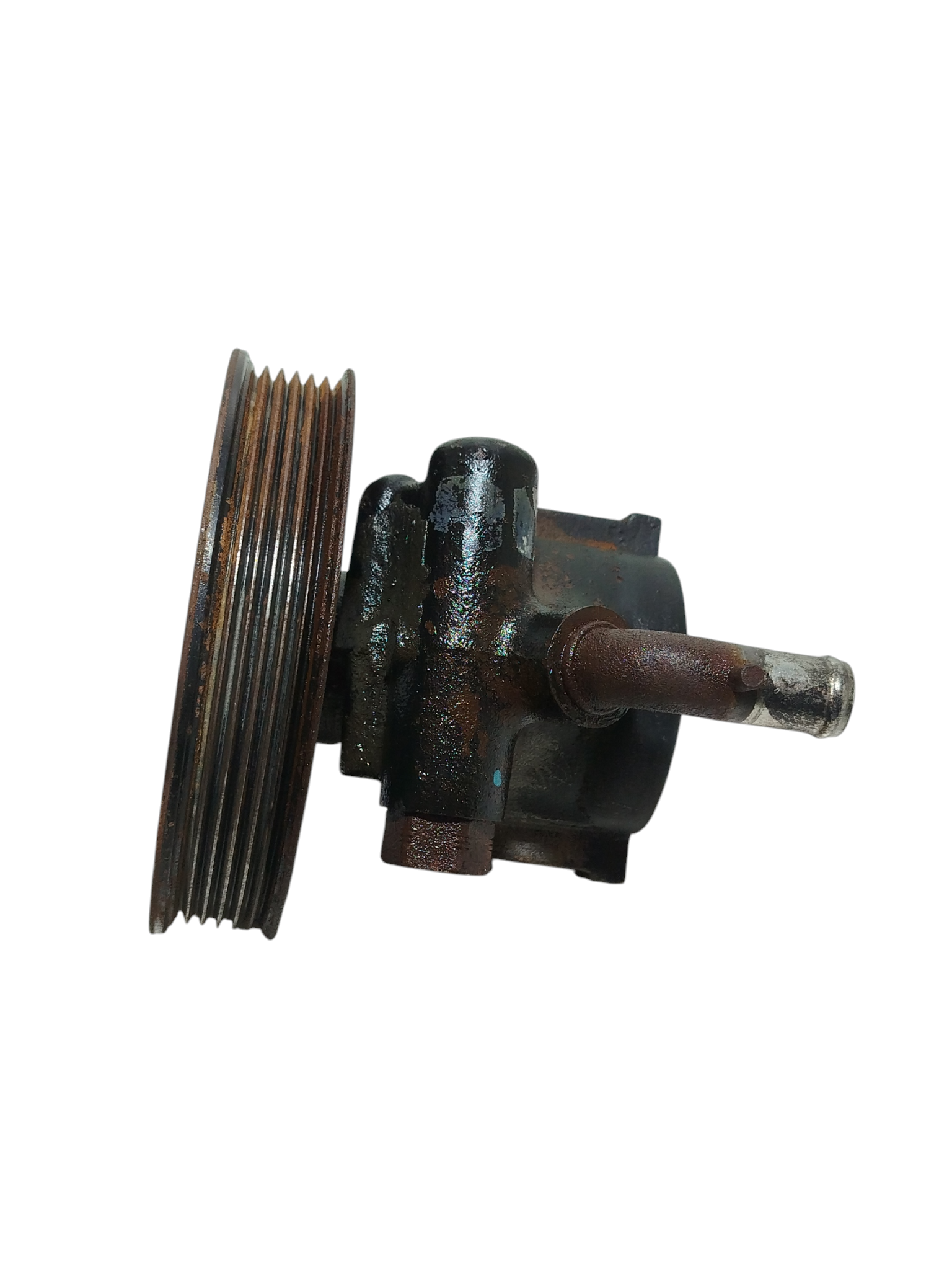 Miniatura 6