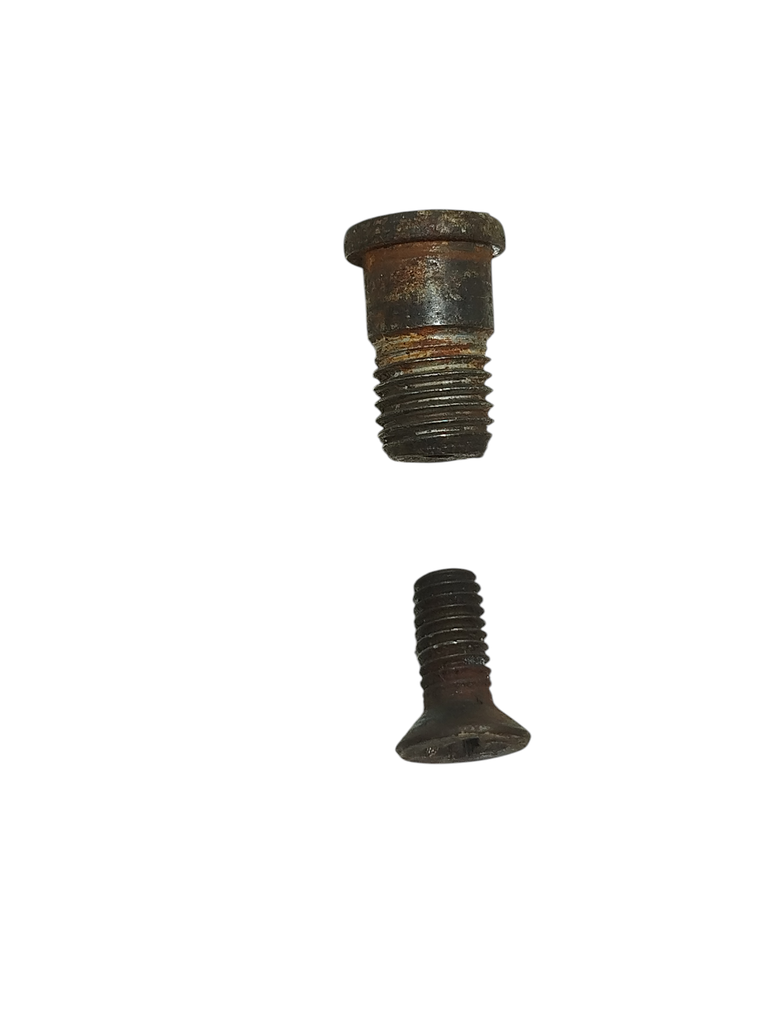 Miniatura 8