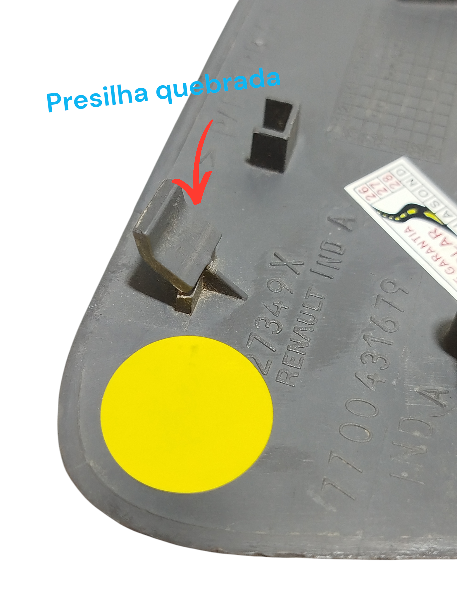 Miniatura 7