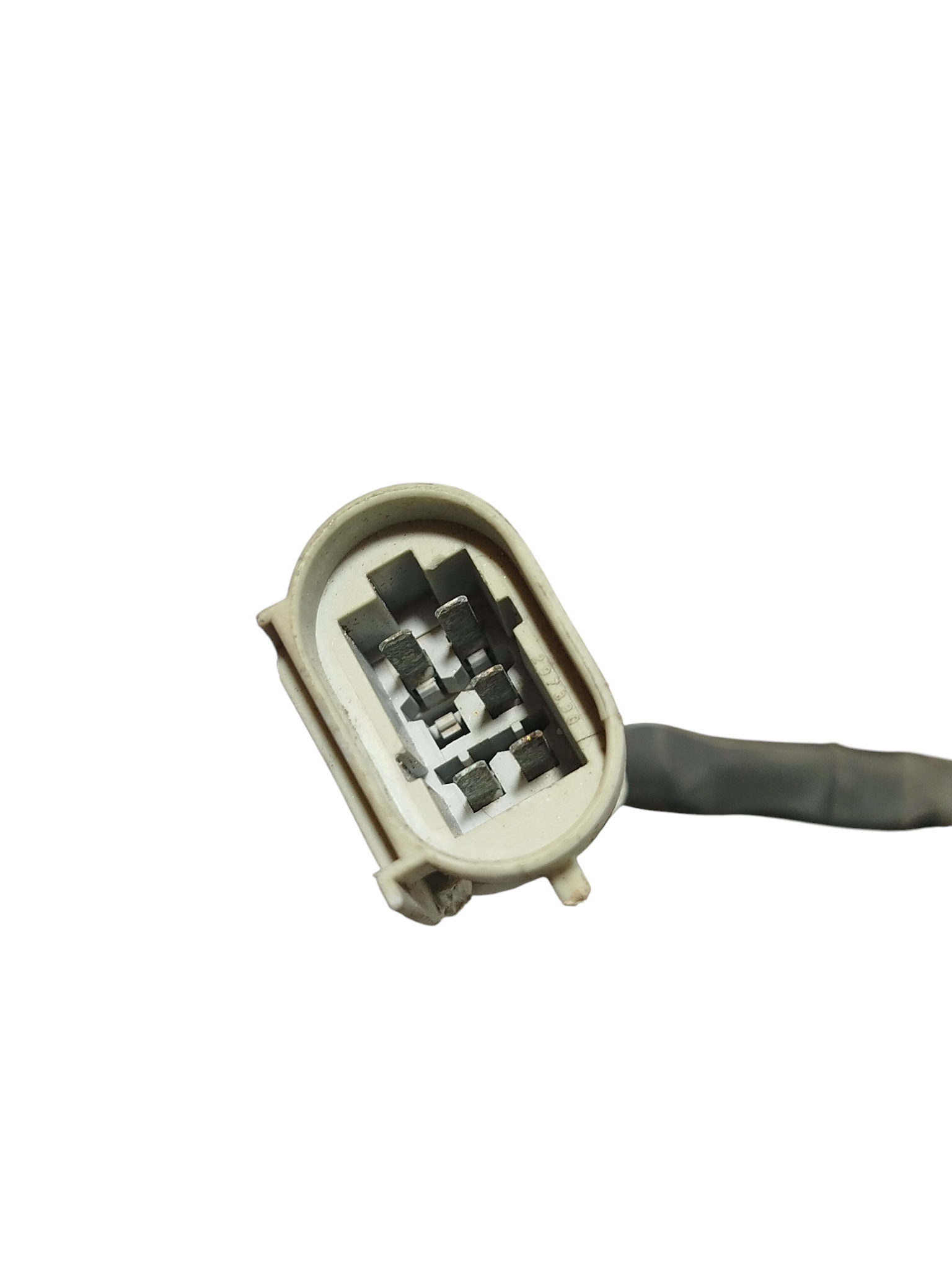 Miniatura 7