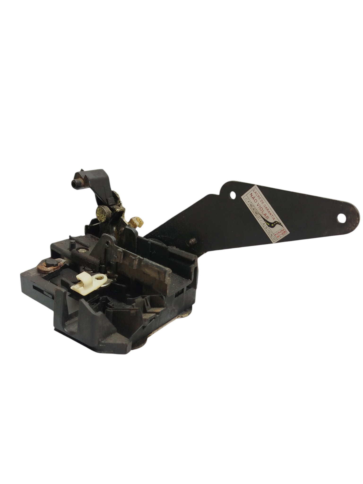 Miniatura 10