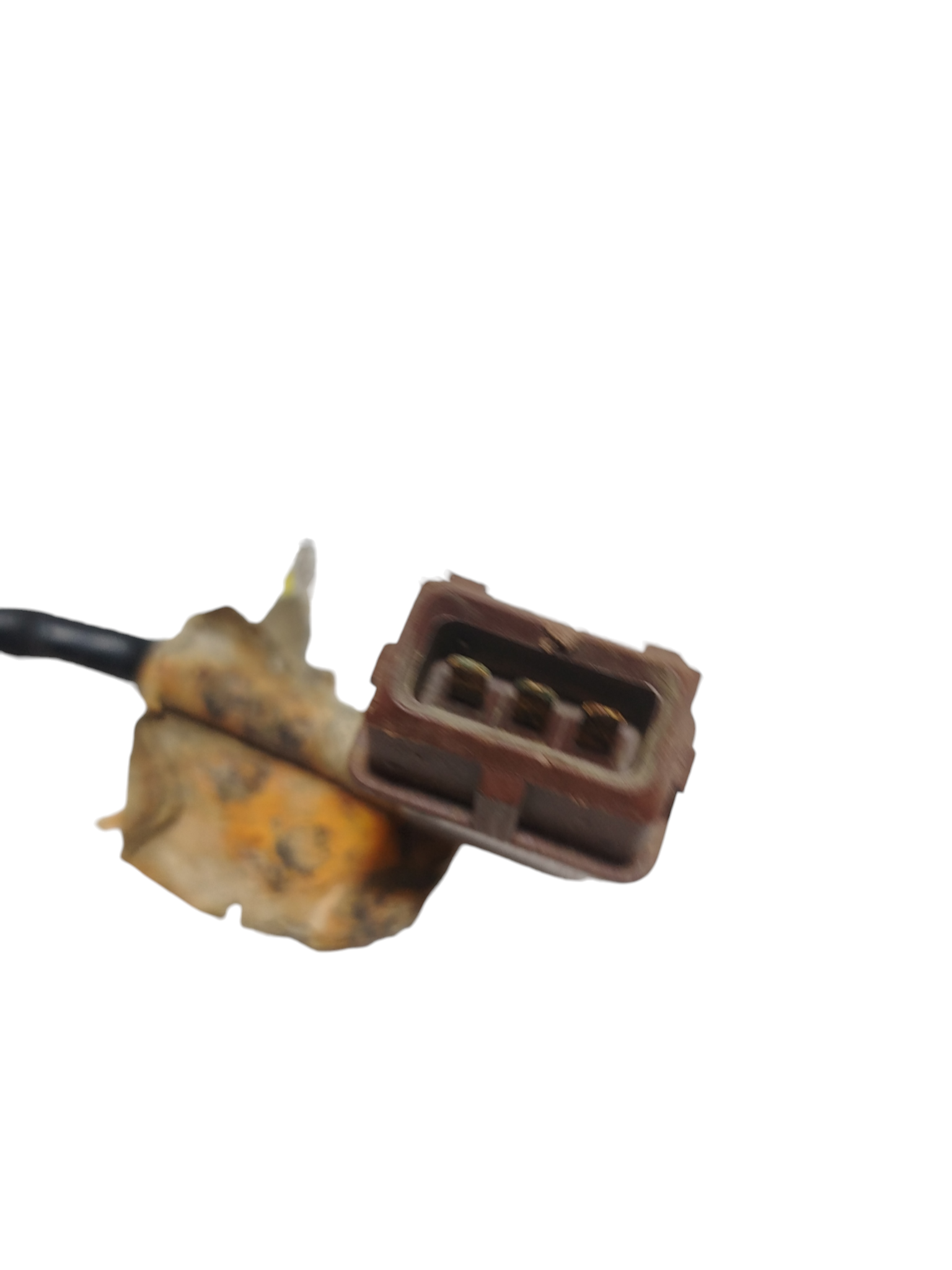 Miniatura 8
