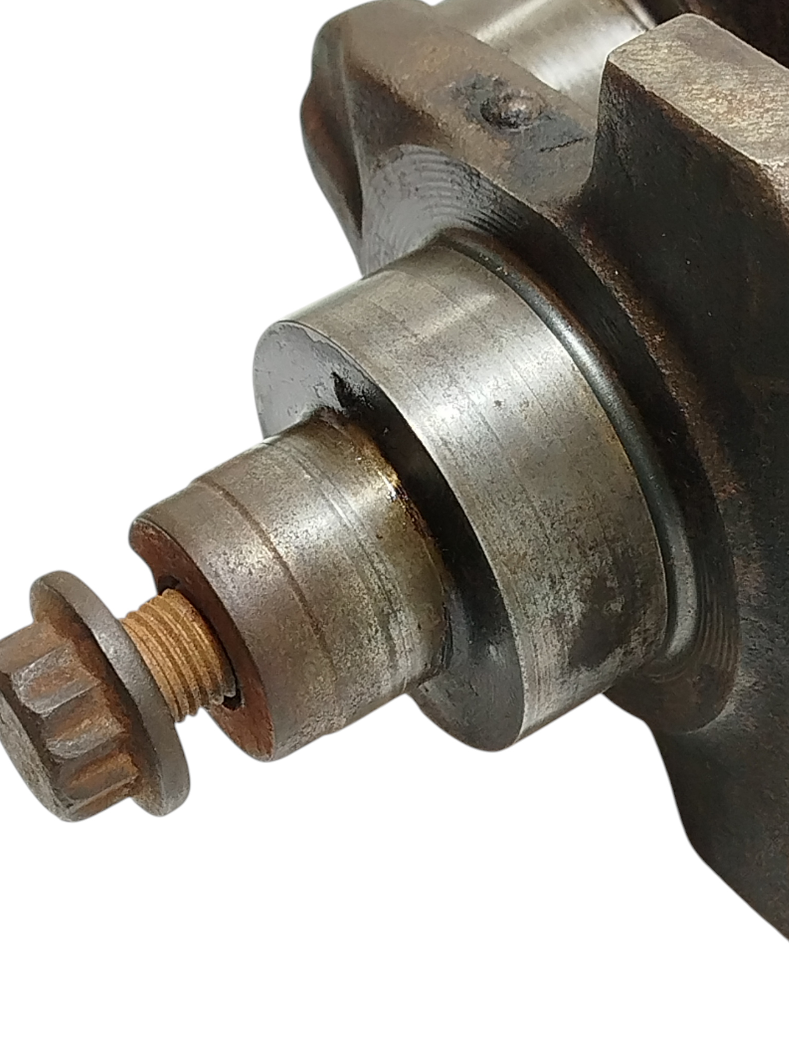 Miniatura 7