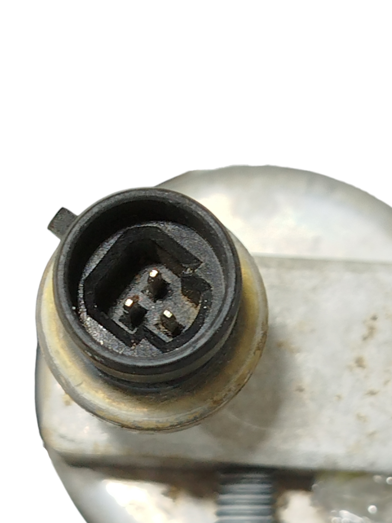 Miniatura 10