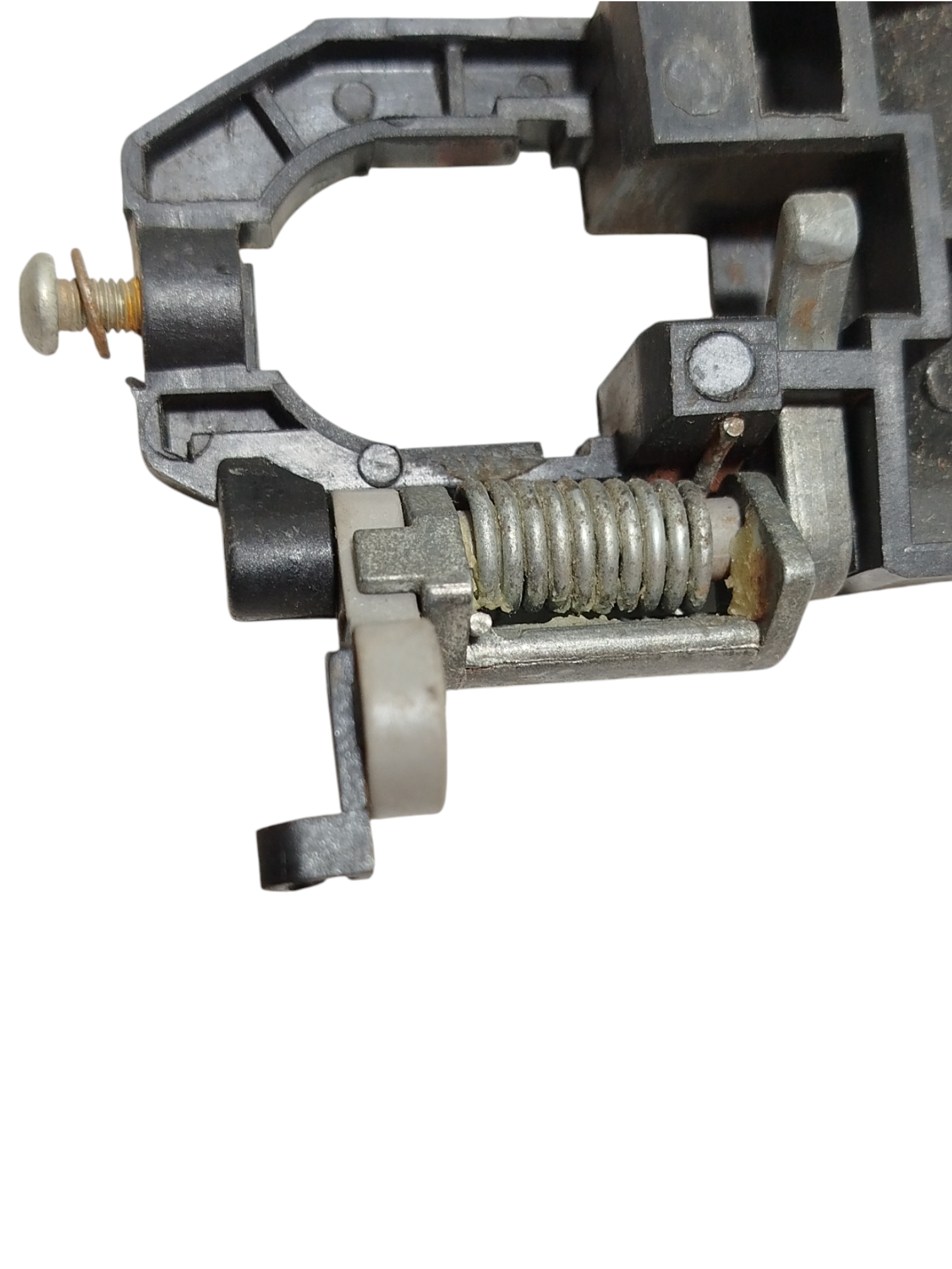 Miniatura 7
