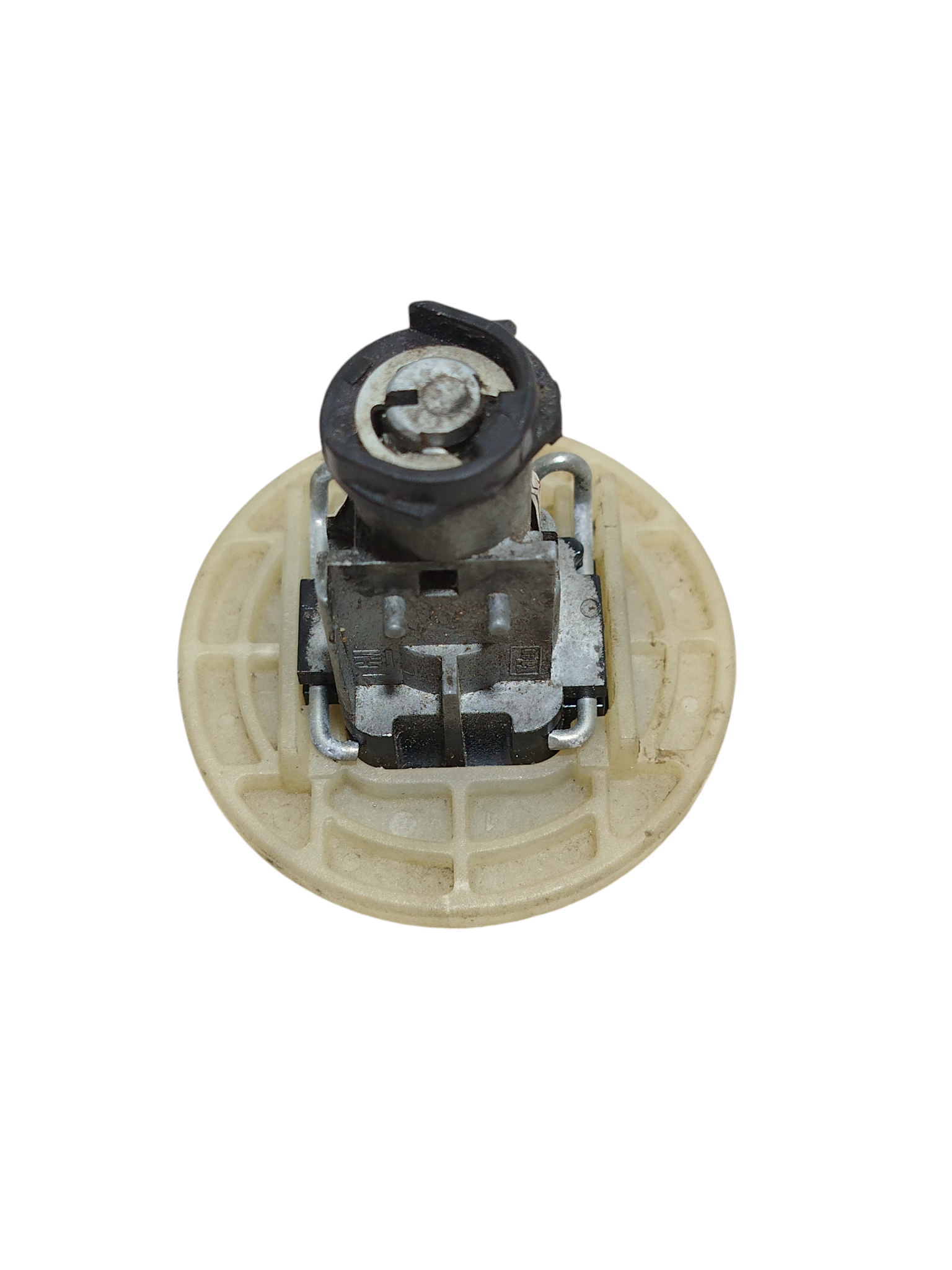 Miniatura 7