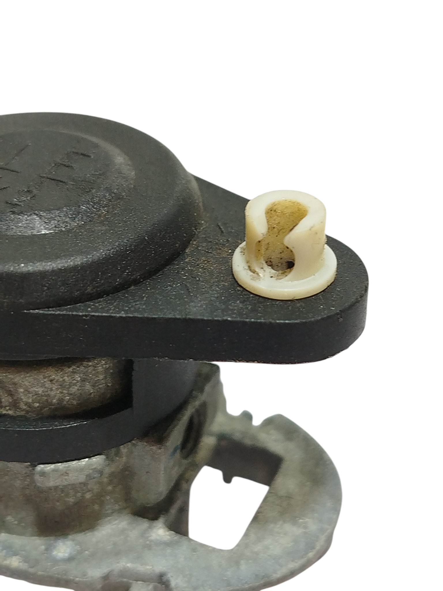 Miniatura 8