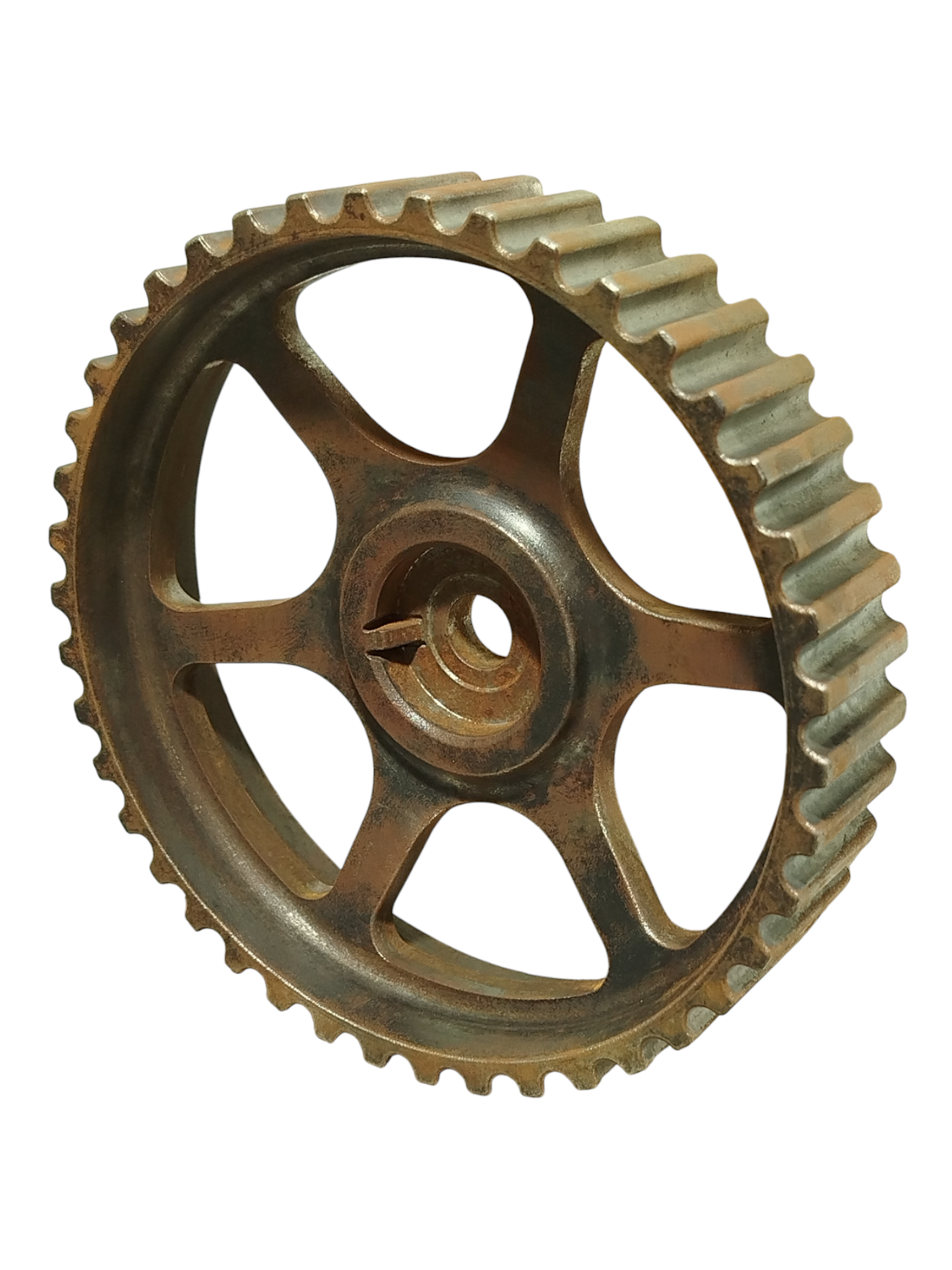 Miniatura 6