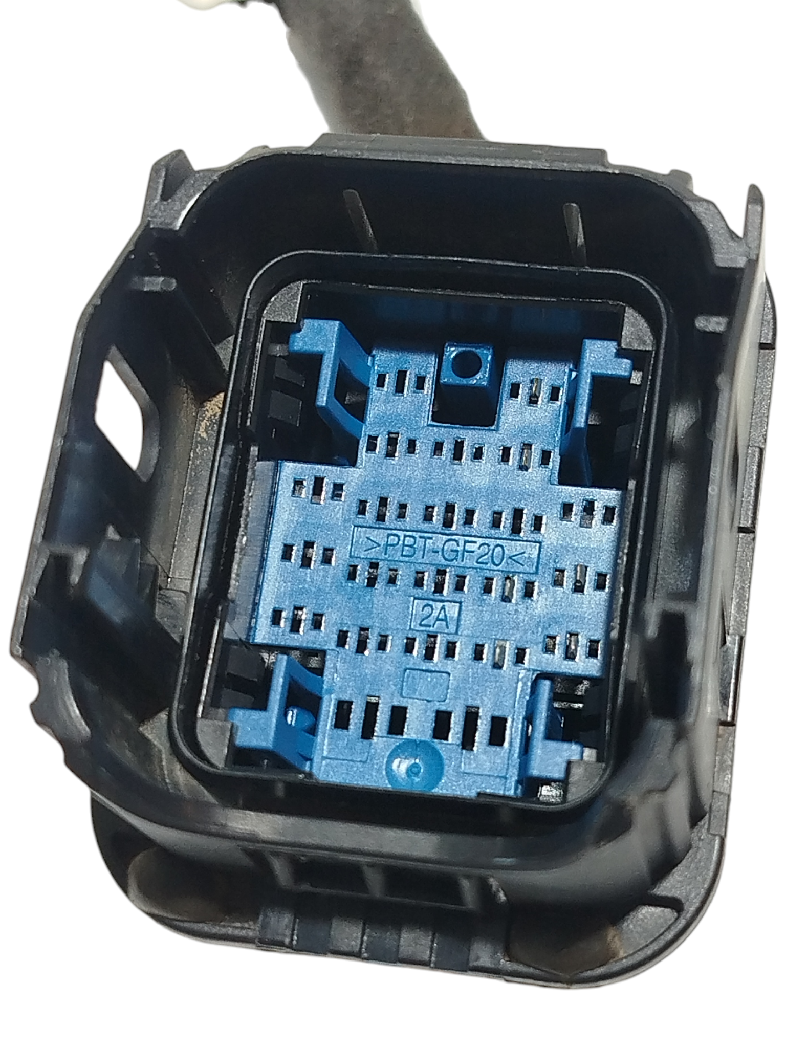 Miniatura 6