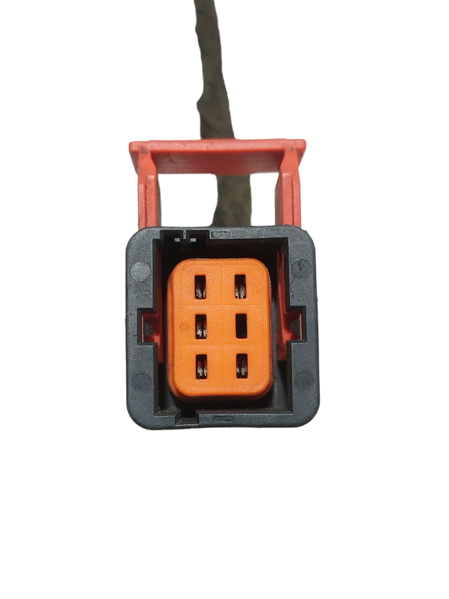 Miniatura 5