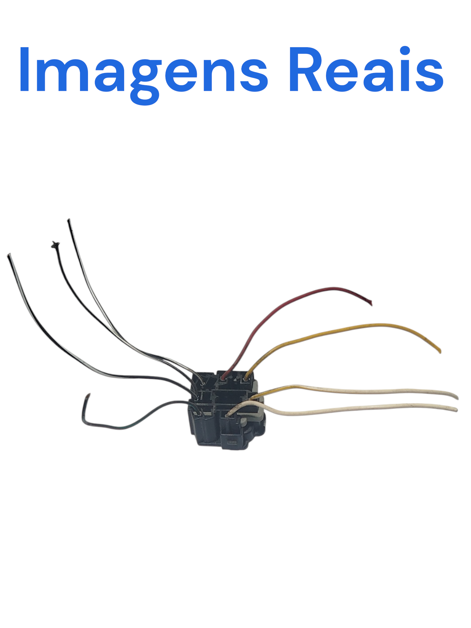 Plug Chicote Chave Seta GM Corsa 1.0 2001 8 fios