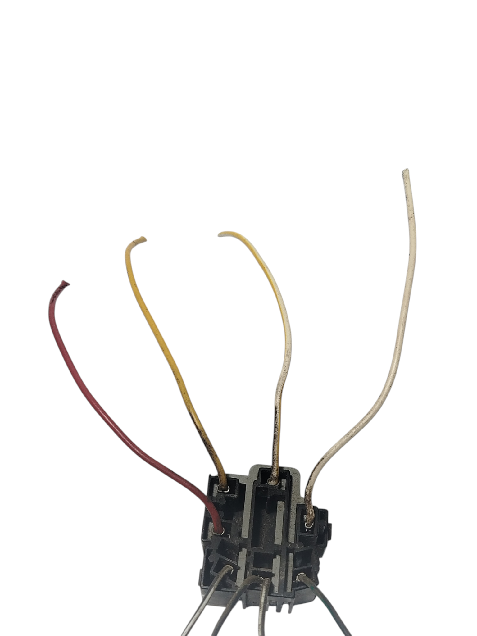 Miniatura 7