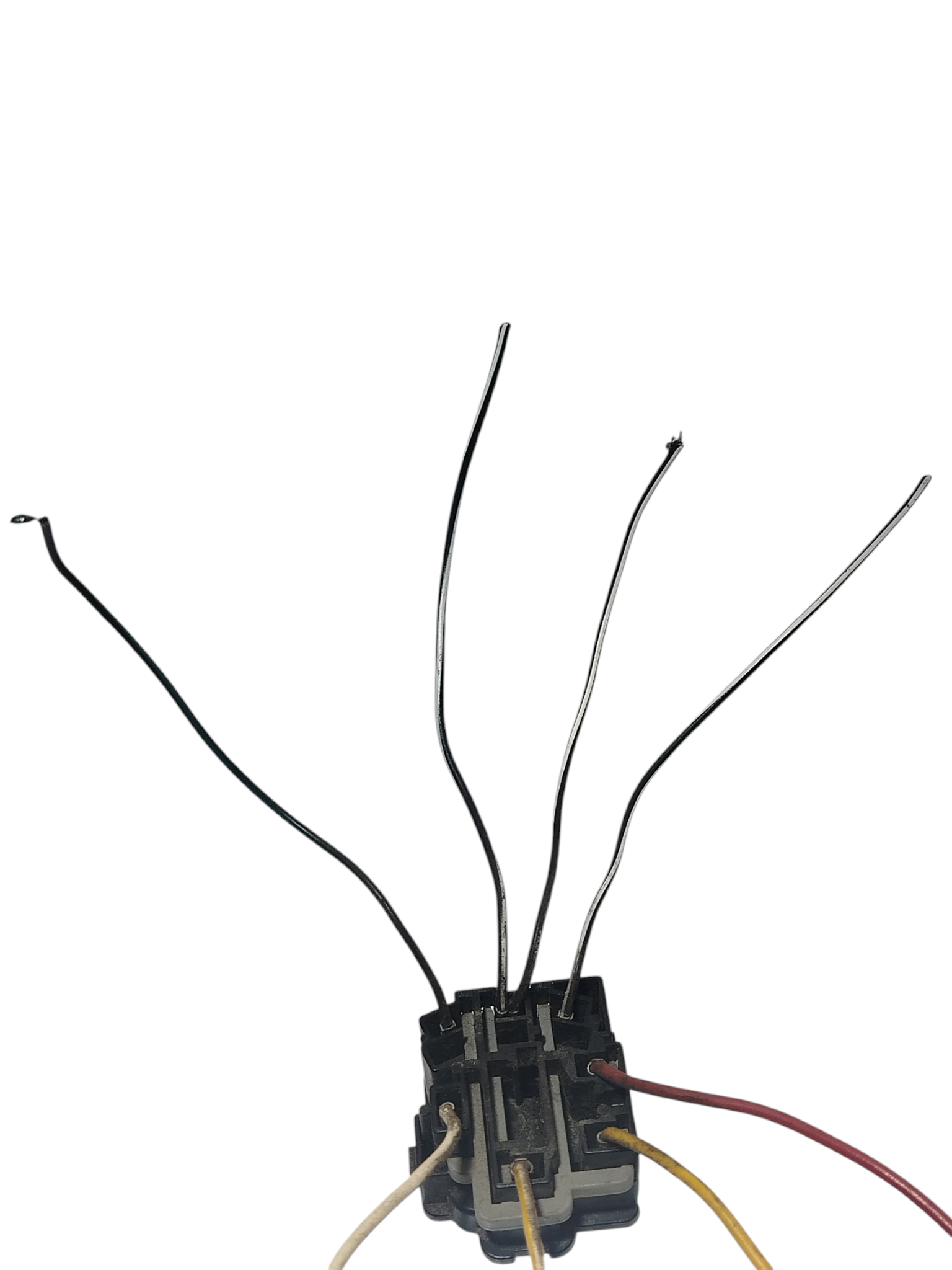 Miniatura 6