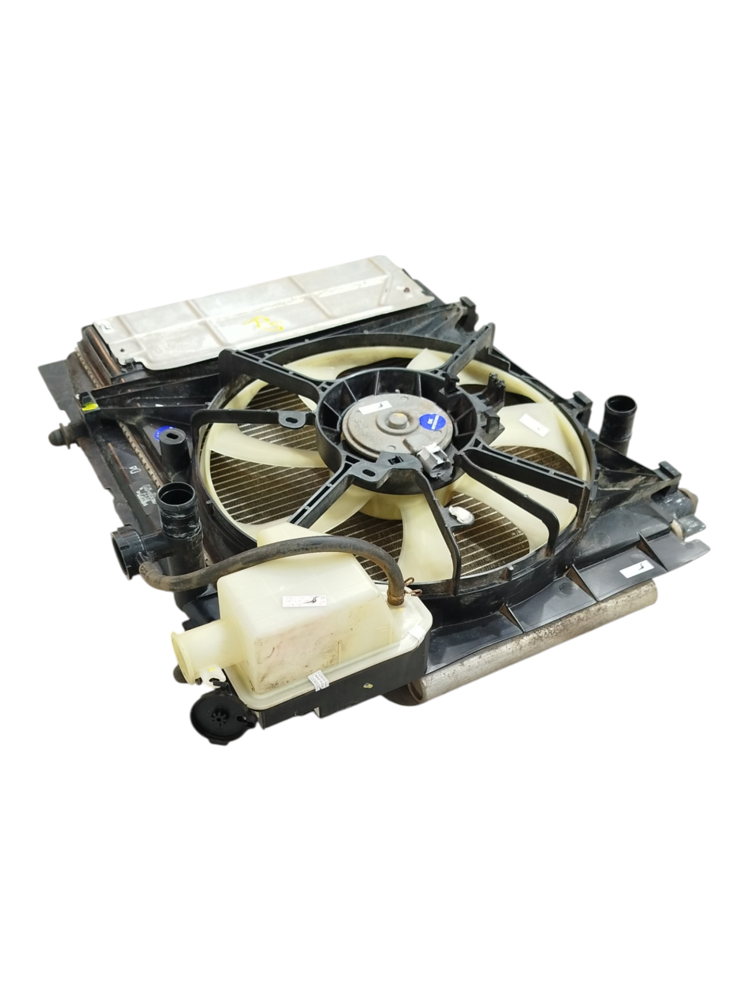 Miniatura 8