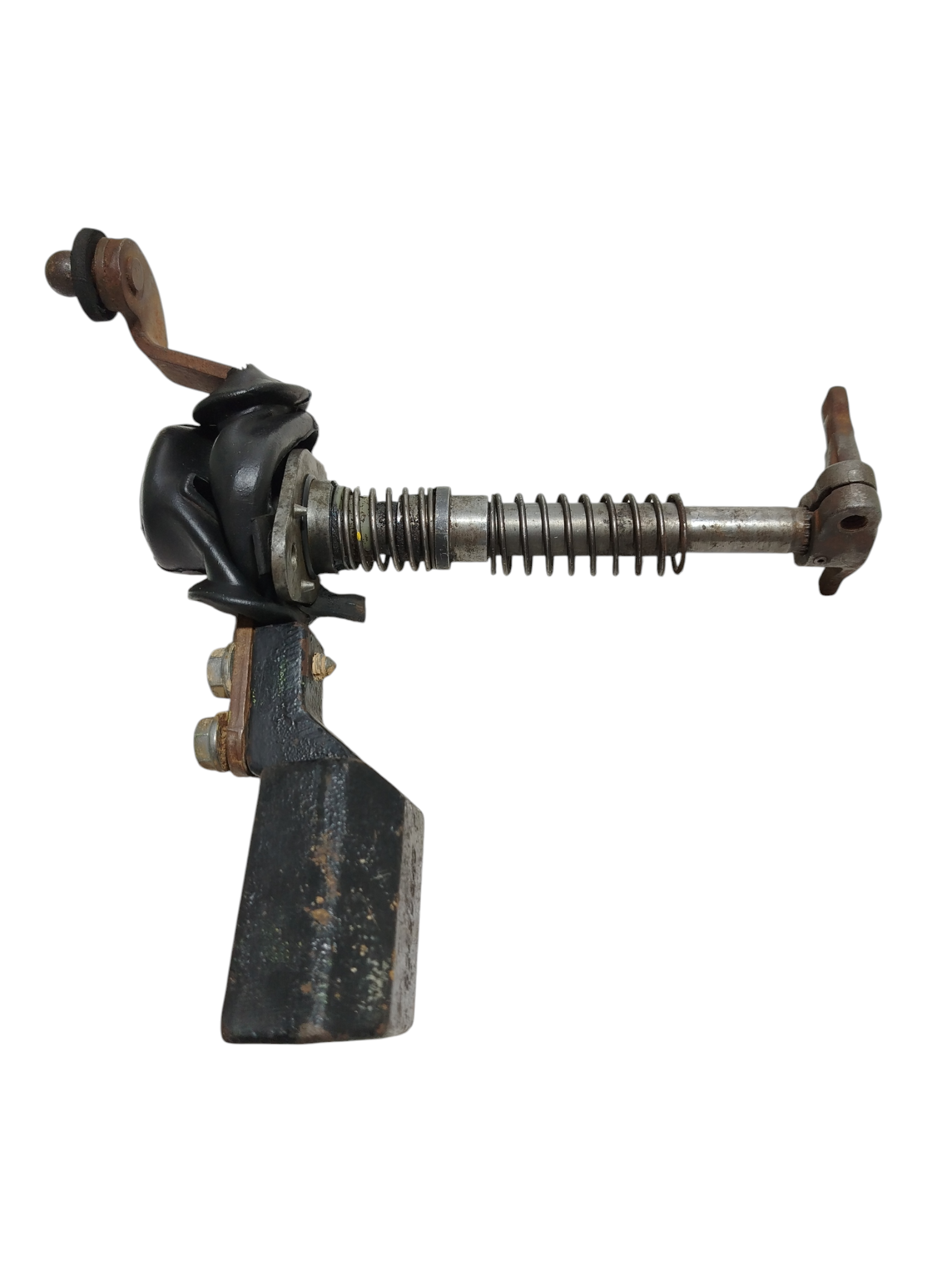 Miniatura 6