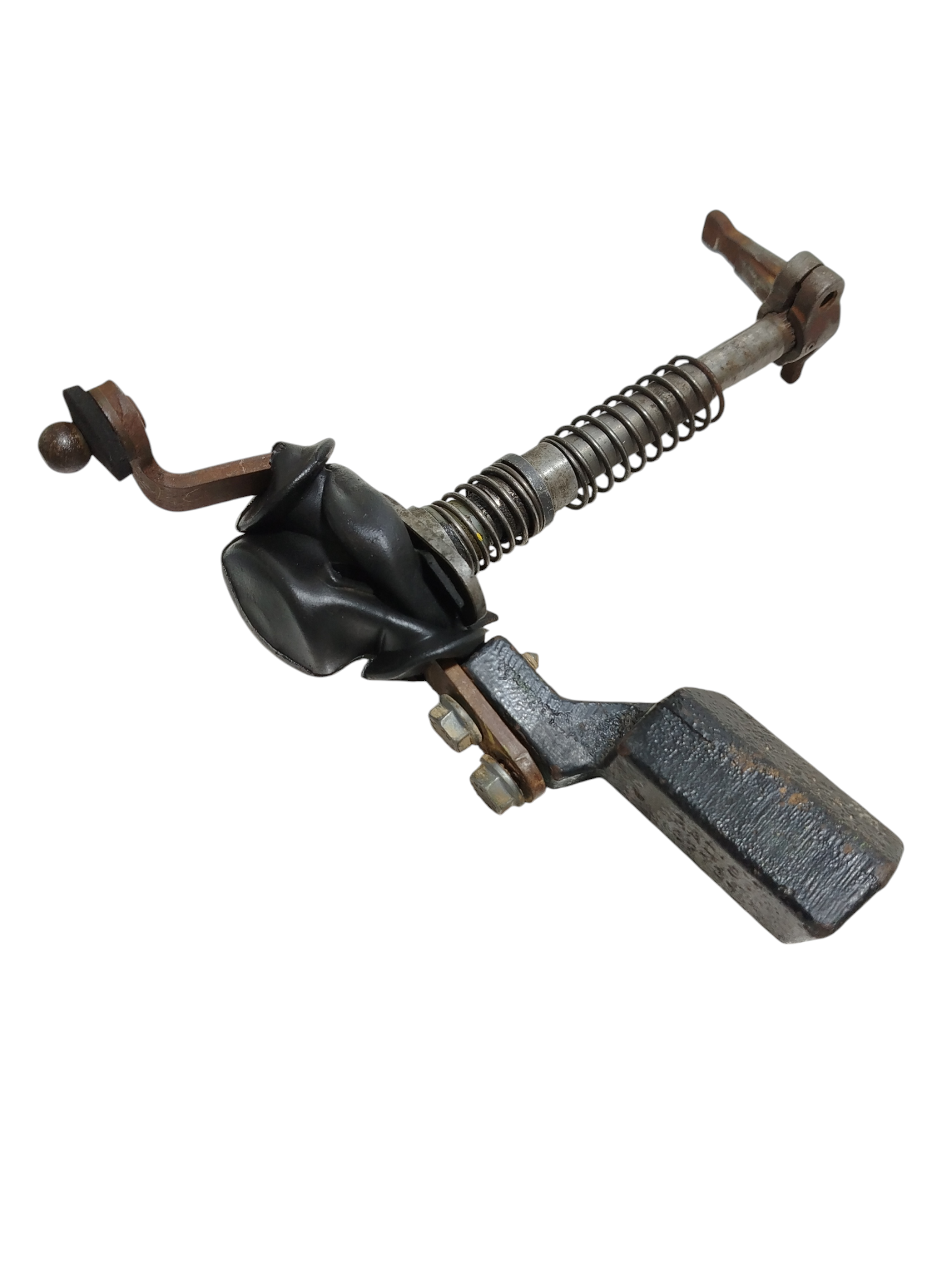 Miniatura 5