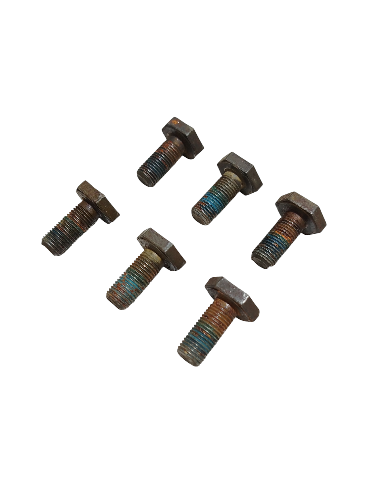 Miniatura 6