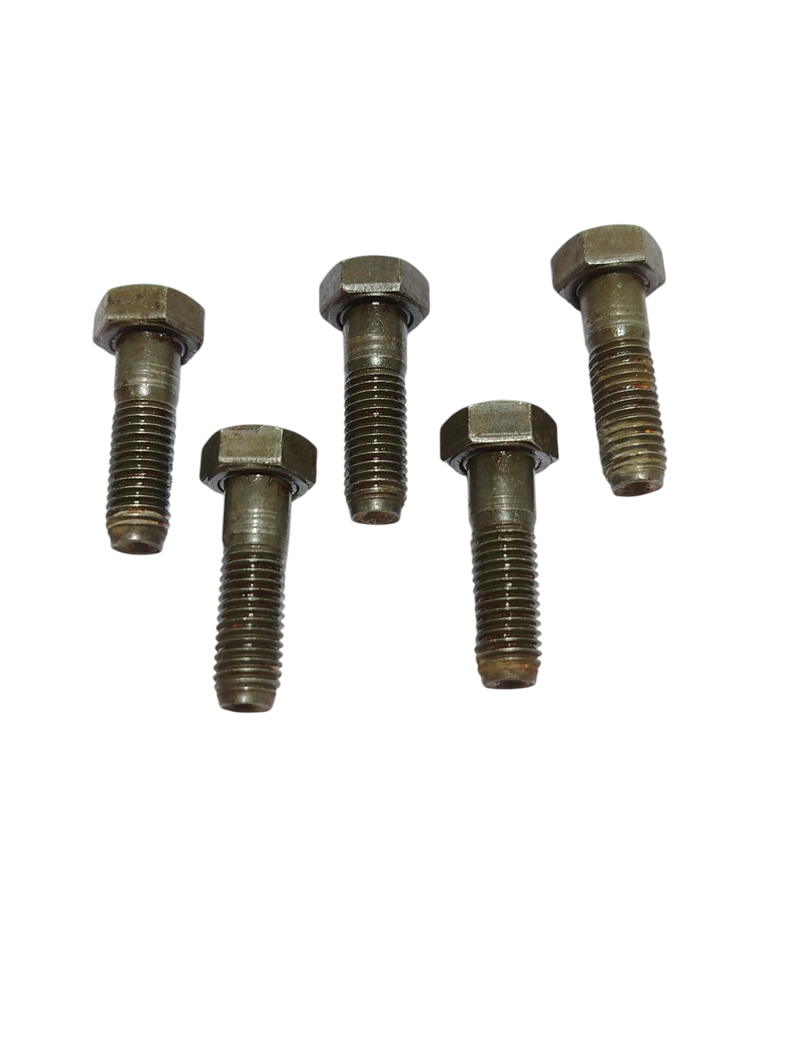 Miniatura 6