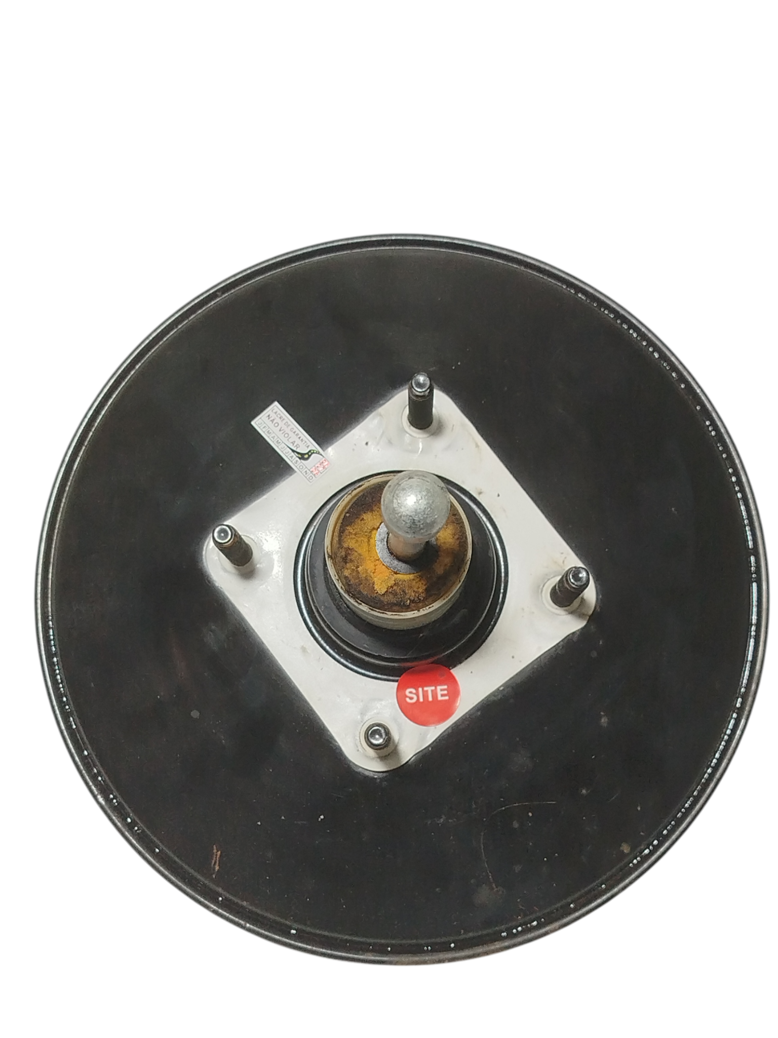 Miniatura 8