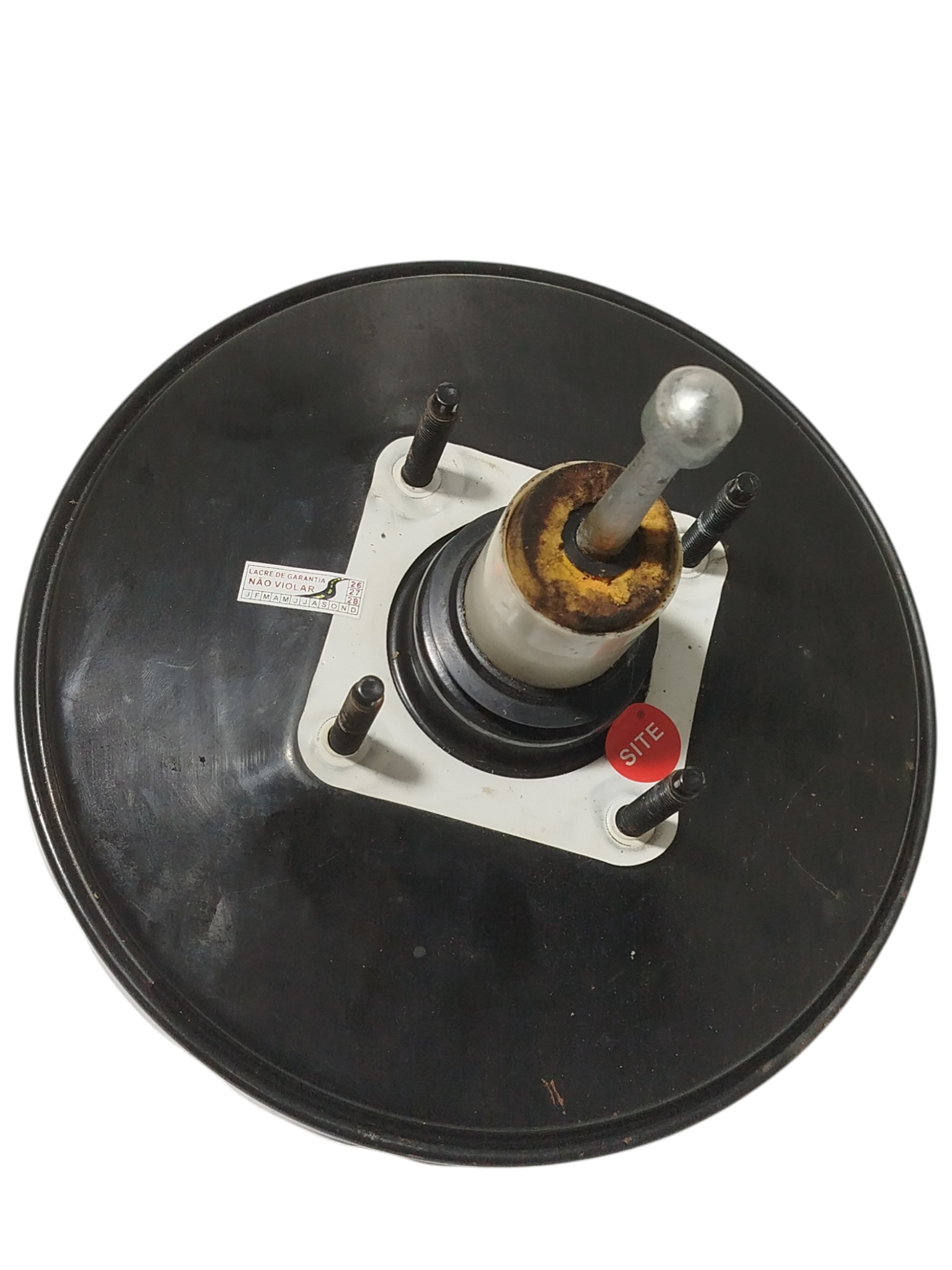 Miniatura 7