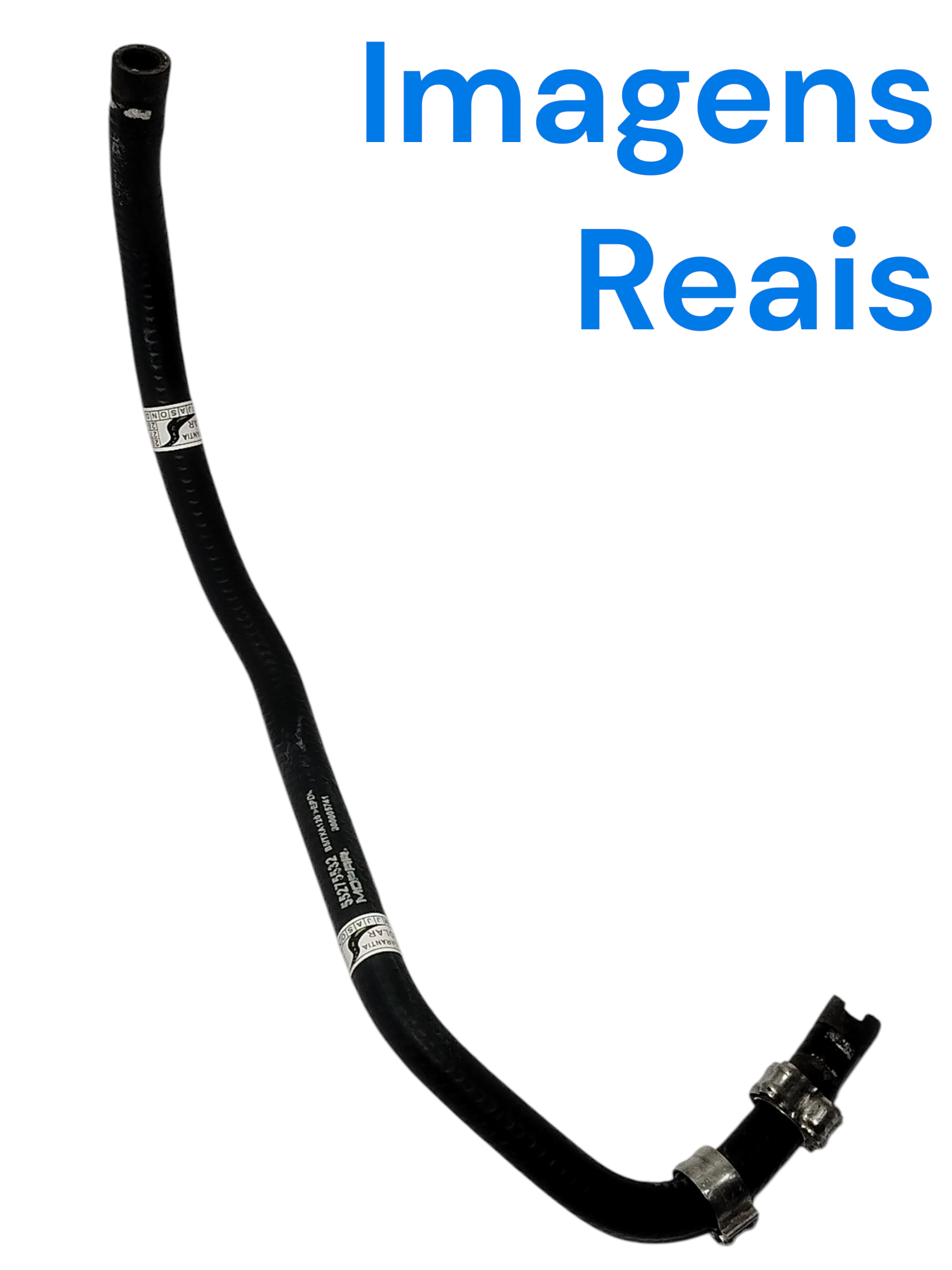 Mangueira Atuador Embreagem Fiat Cronos 2023 55275532