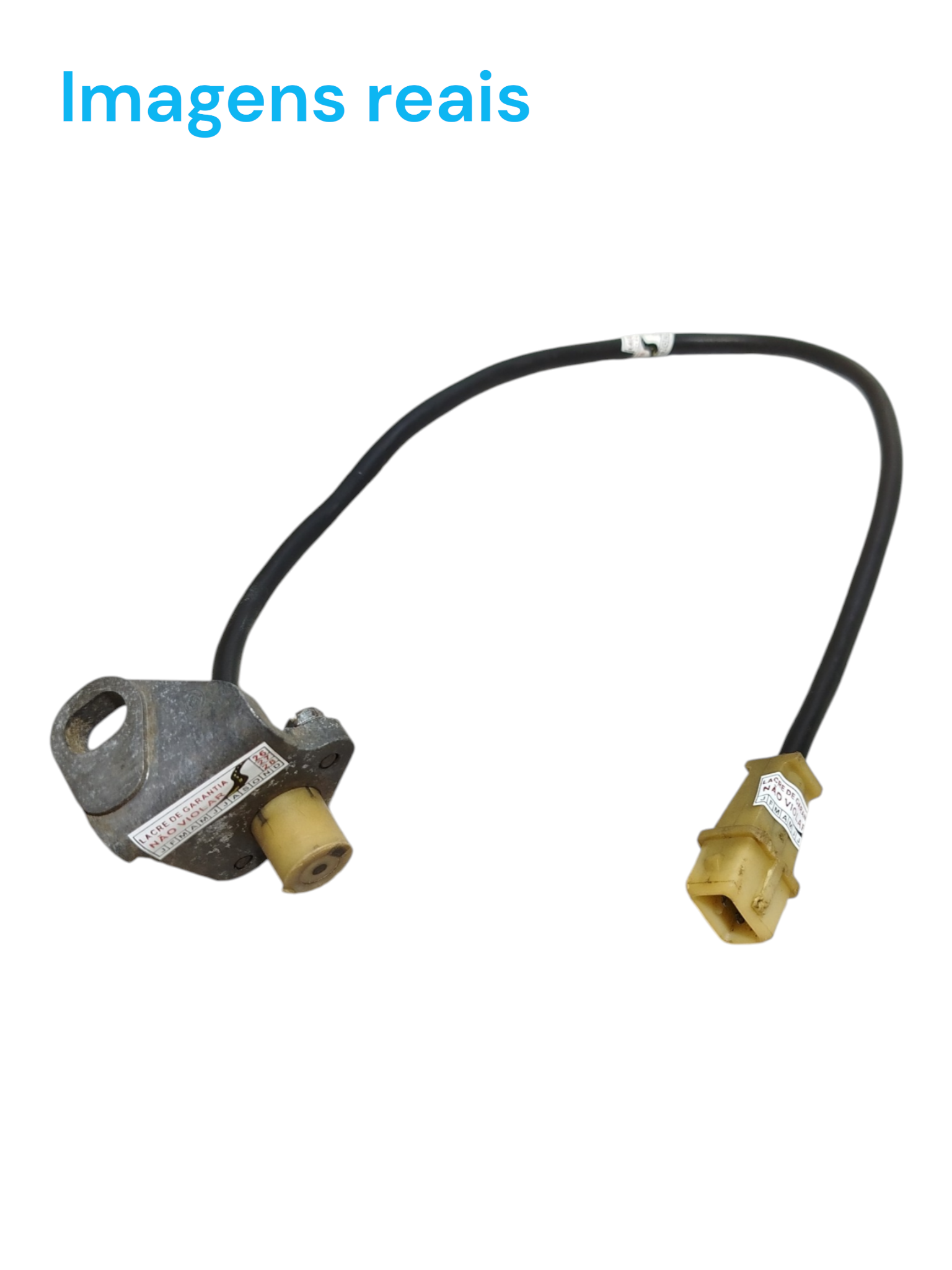 Sensor Rotação Fase Fiat Palio Fiasa 1.0 8V 2000