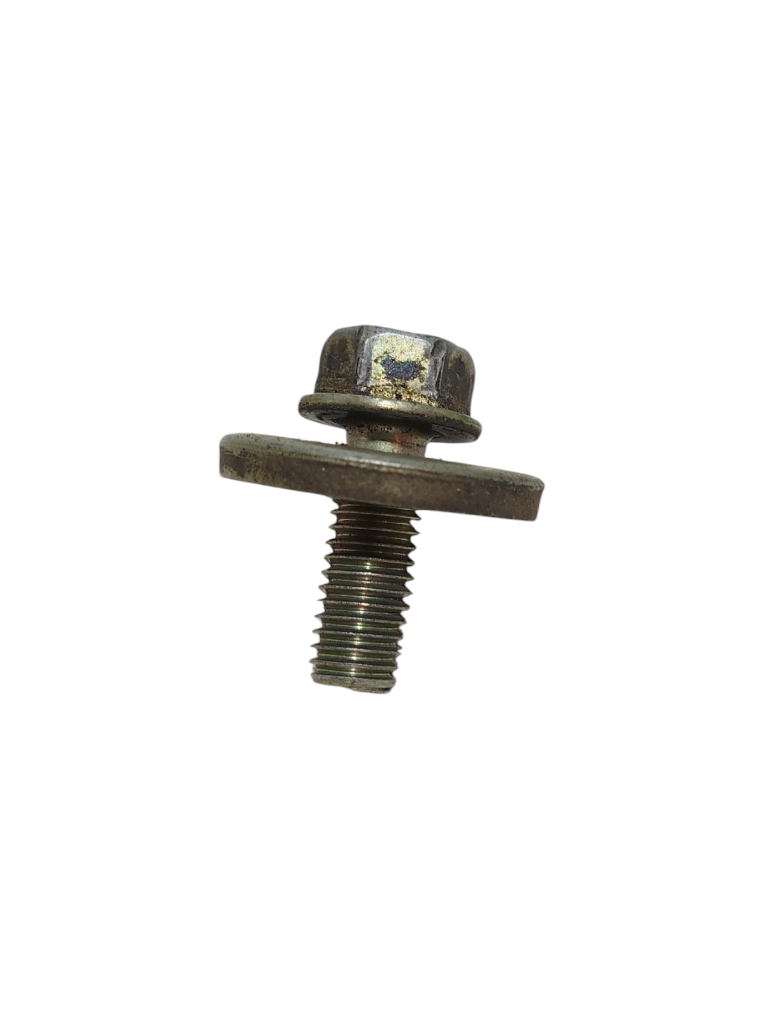 Miniatura 9