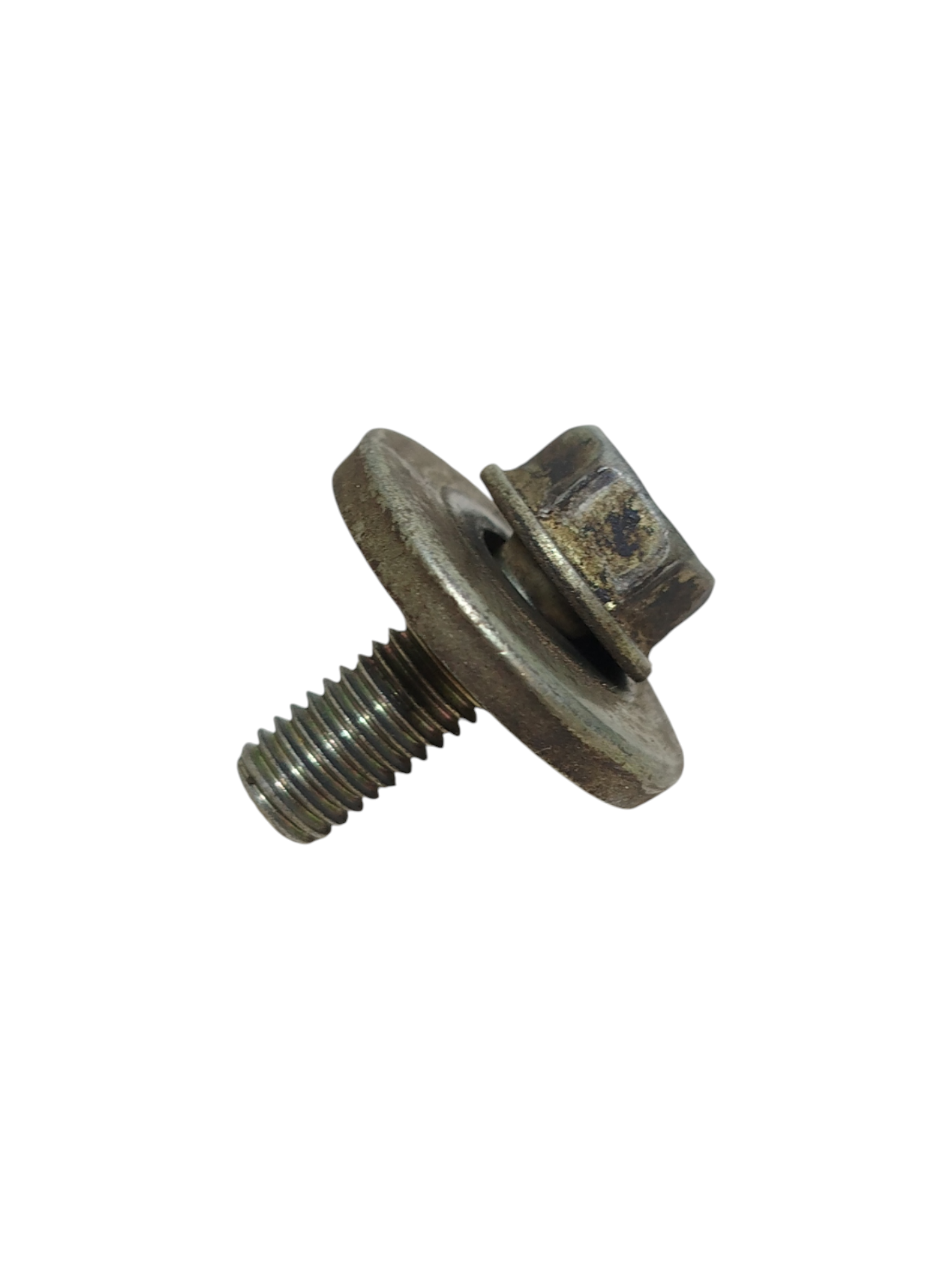 Miniatura 6
