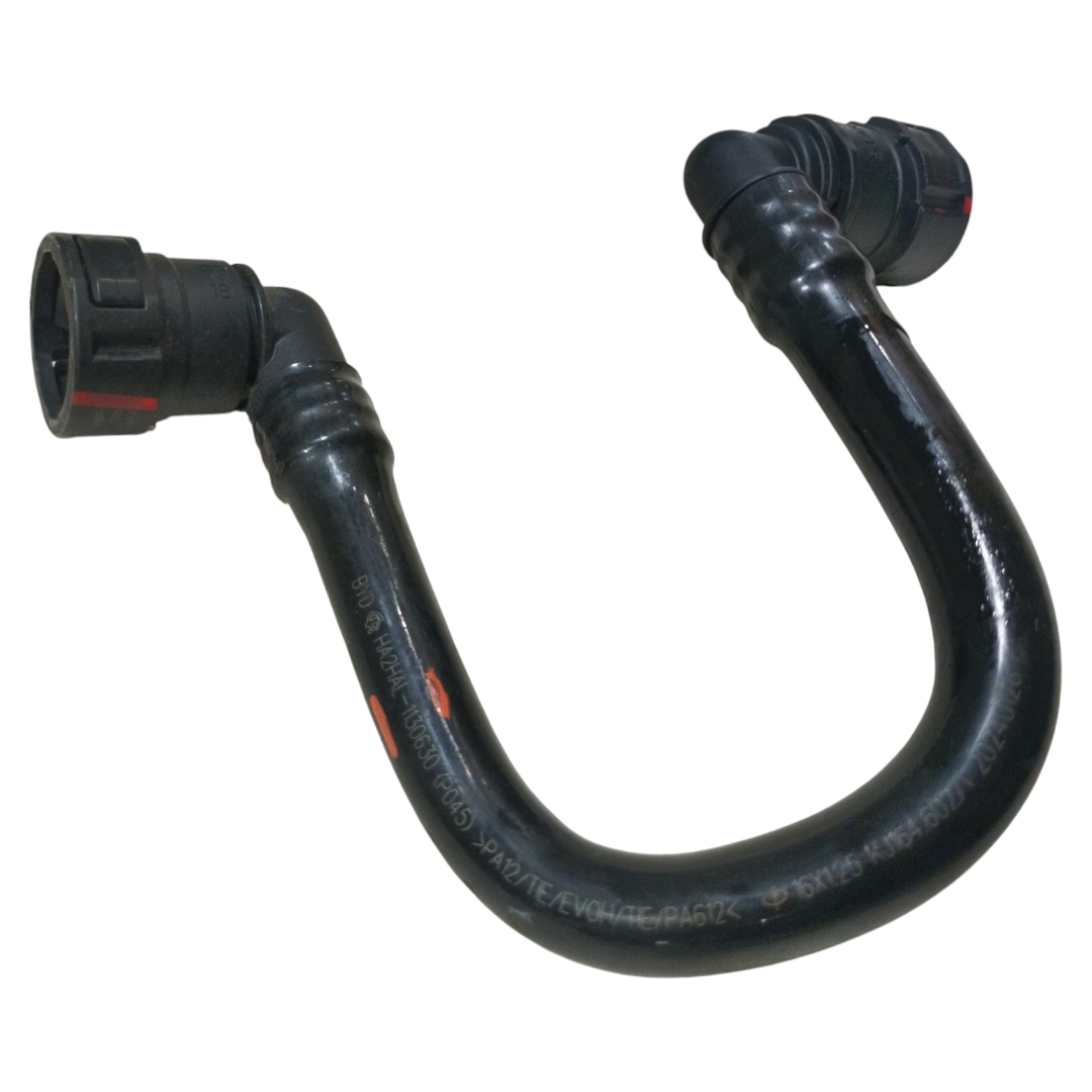 mangueira válvula canister byd king GL 2025