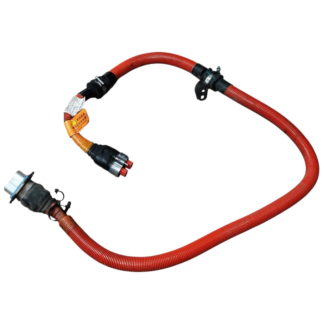 chicote bateria byd king GL 1.5 2025