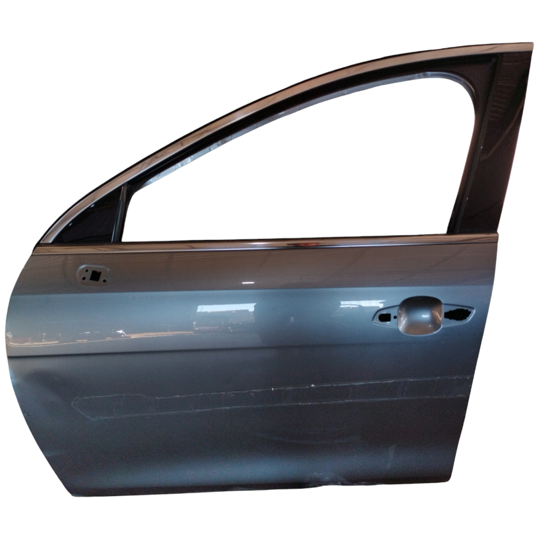 porta dianteira esquerda byd king GL 2024 a 2025