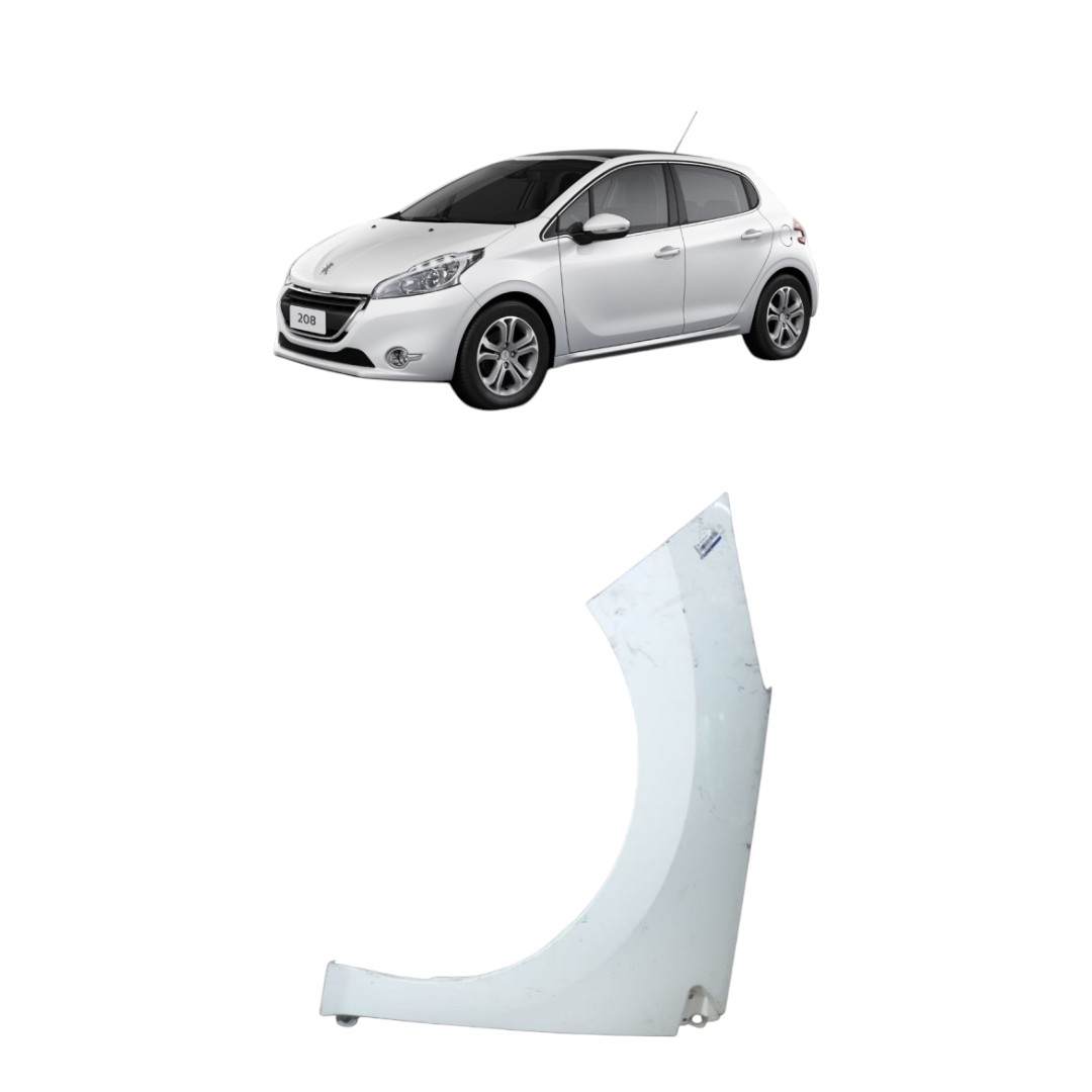 Paralama Lado Esquerdo Peugeot 208 2014