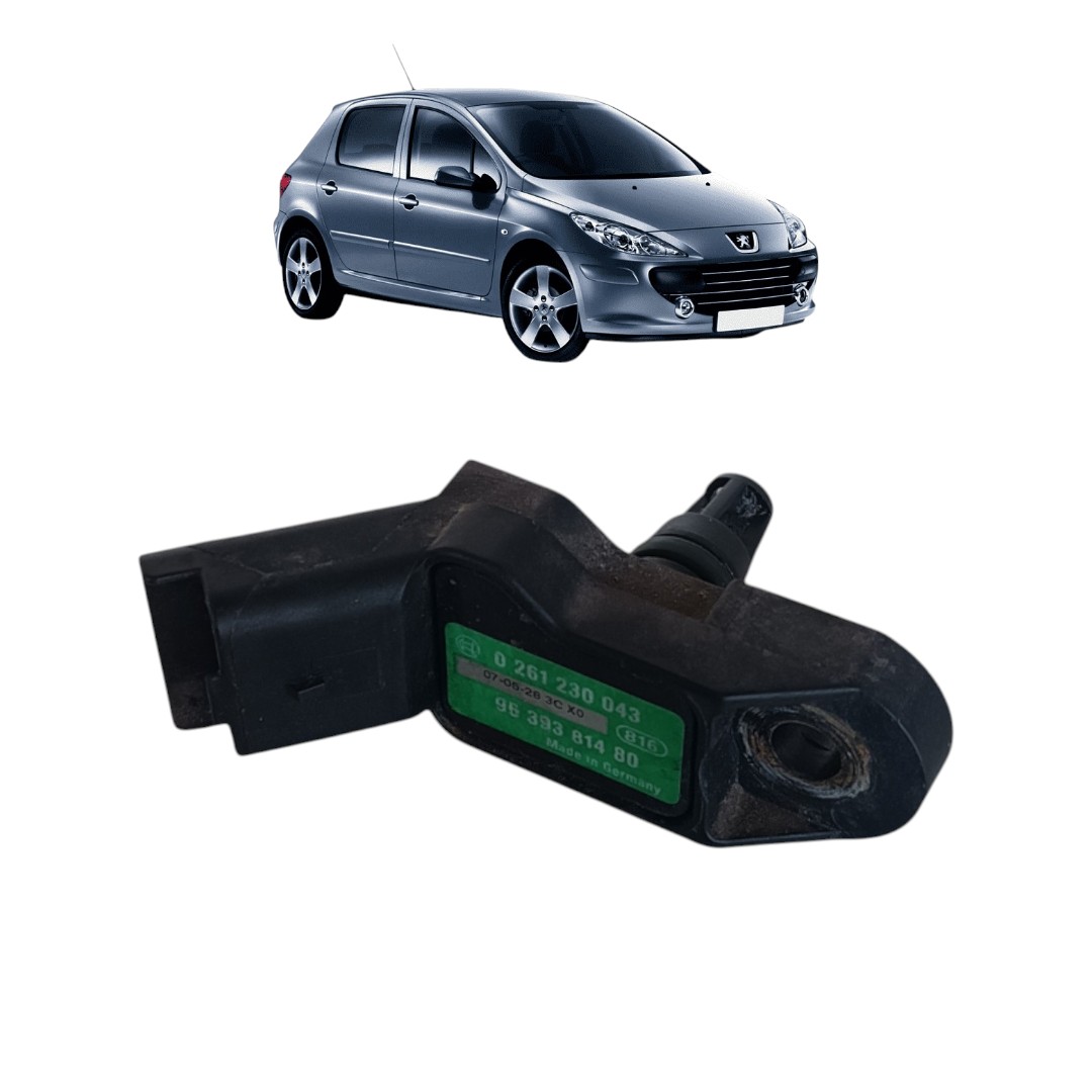Sensor Map Peugeot 307 2007