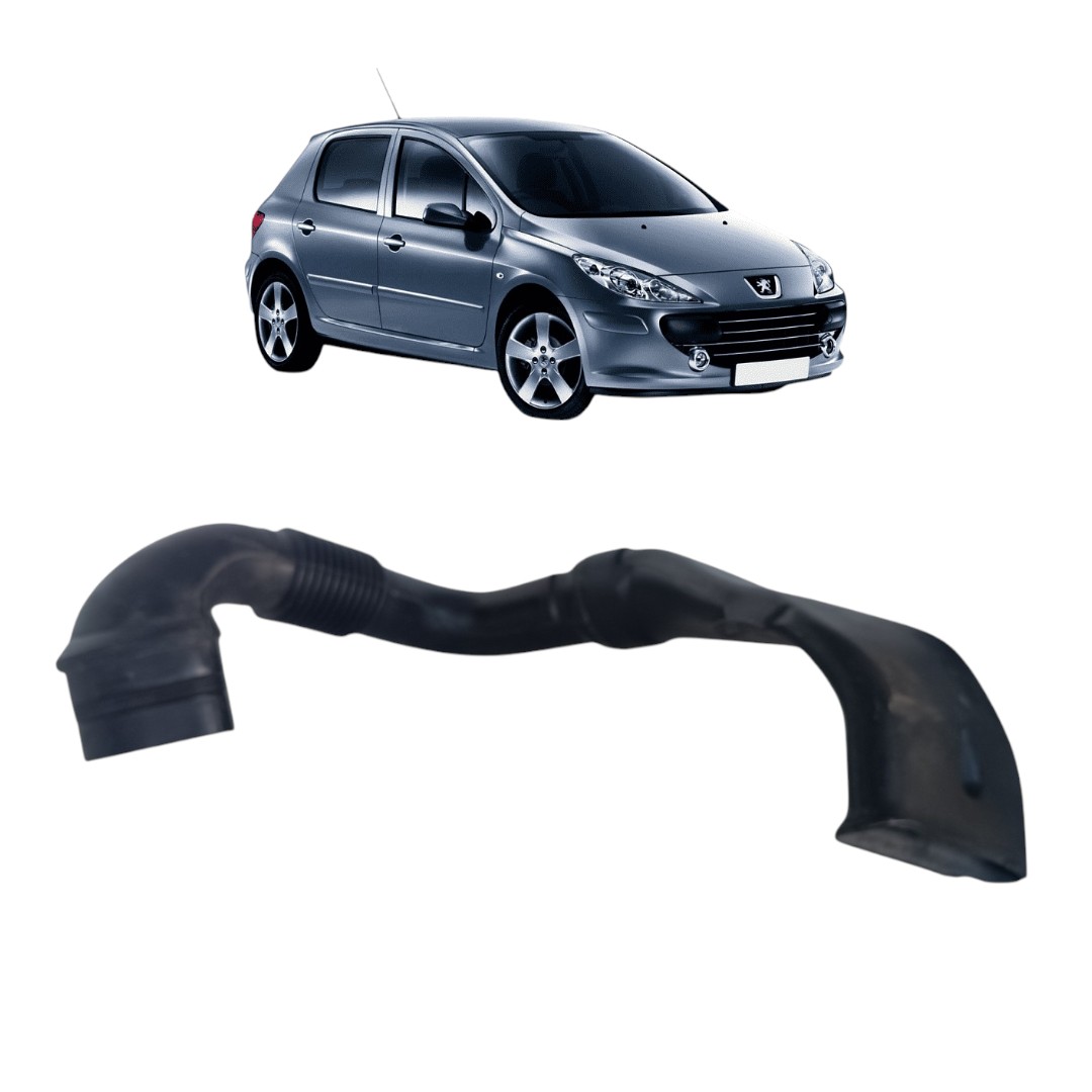 Mangueira do Filtro de Ar Peugeot 307 2008 2013