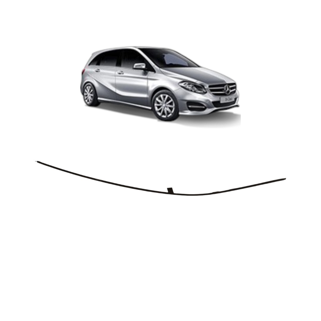 Friso Teto Lado Direito Mercedes B200 2010