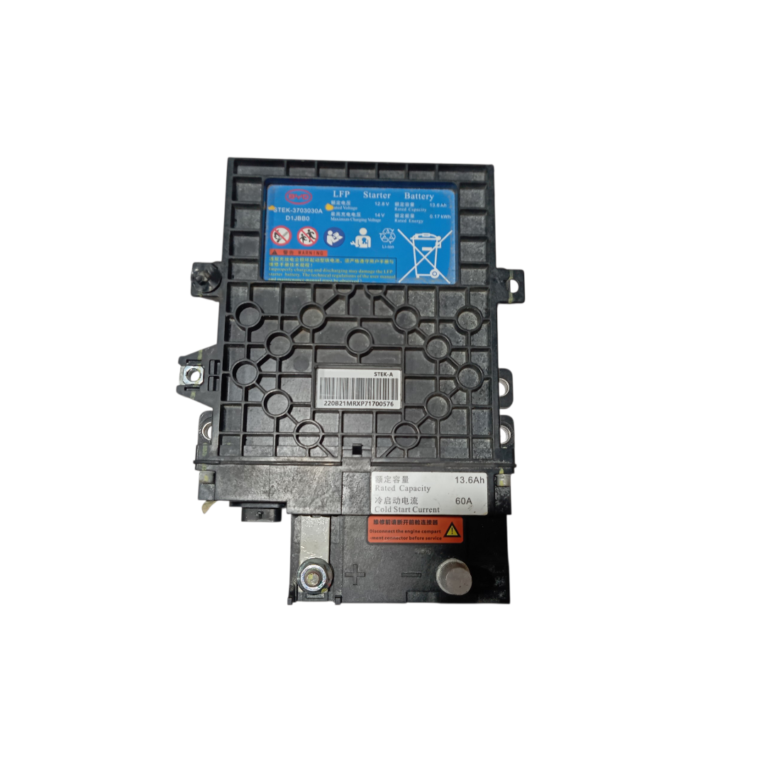 Bateria Auxiliar Byd Dolphin GS 2024 2025