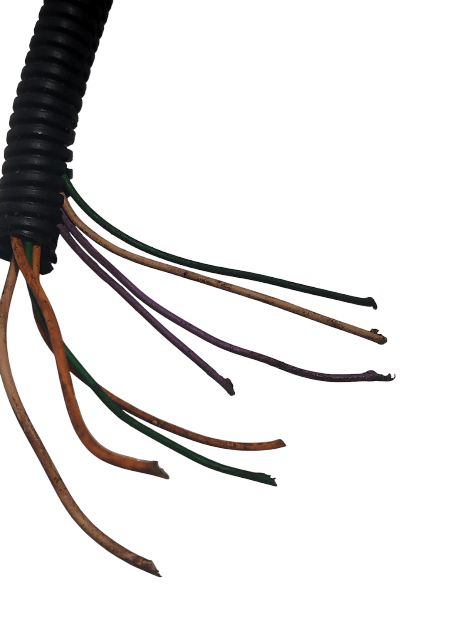 plug conector TBI Renault Sandero 1.6 8v 2013 42121700 4