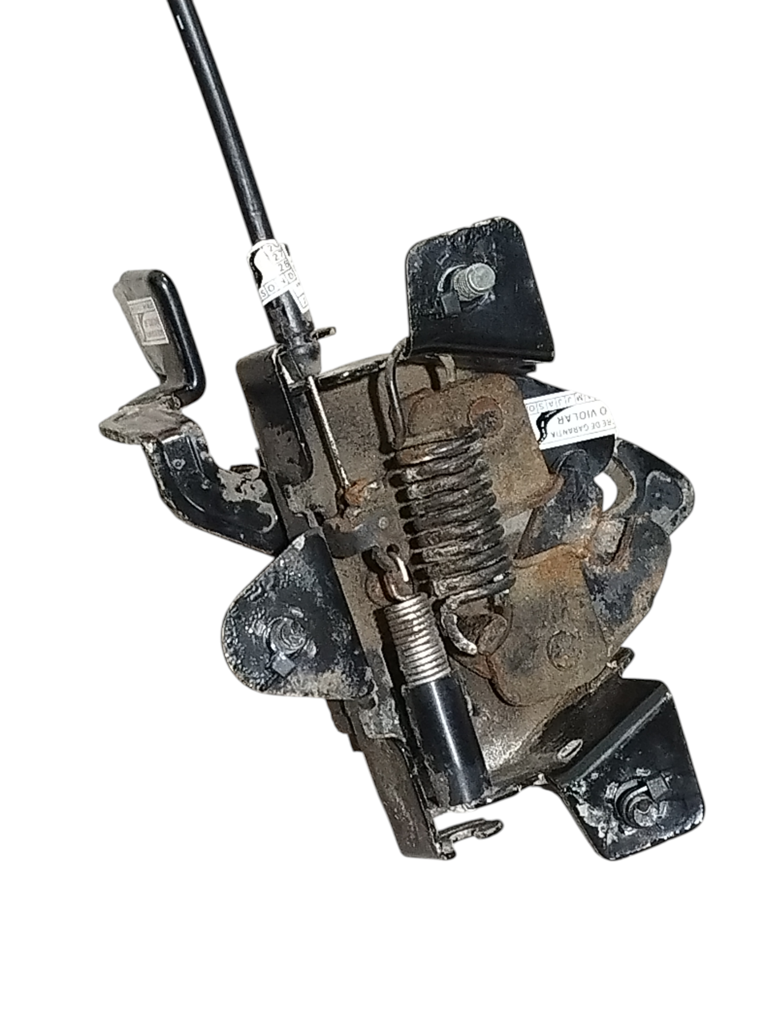 Miniatura 5