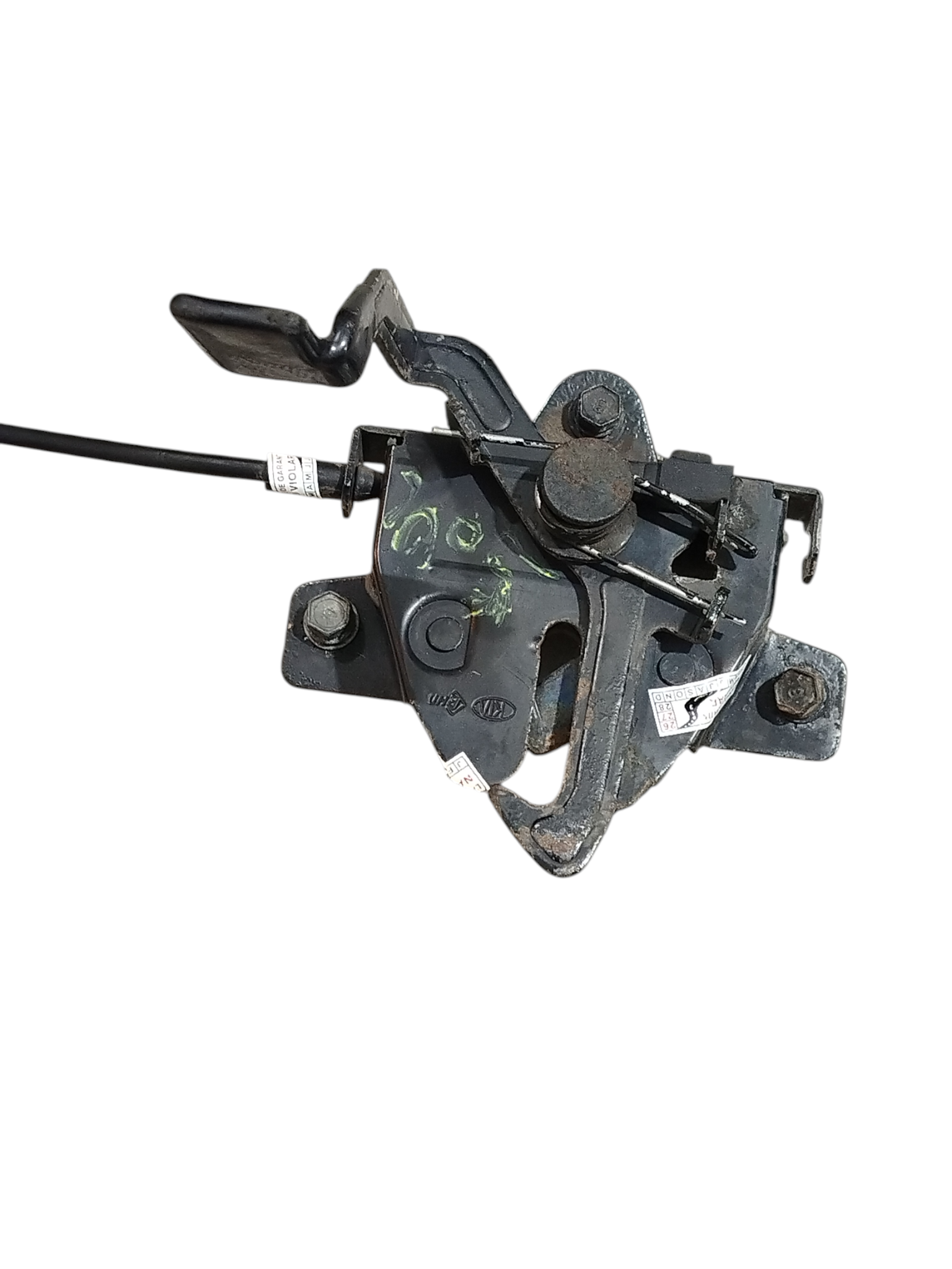 Miniatura 3