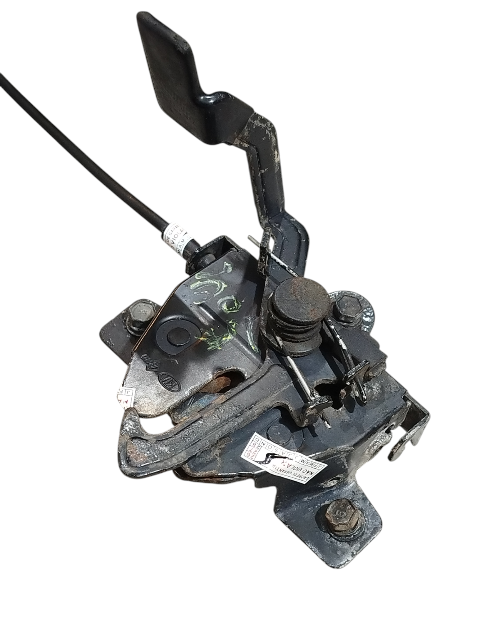 Miniatura 4