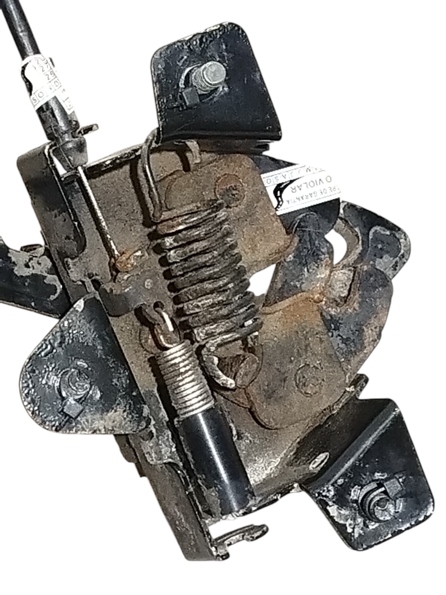 Miniatura 6