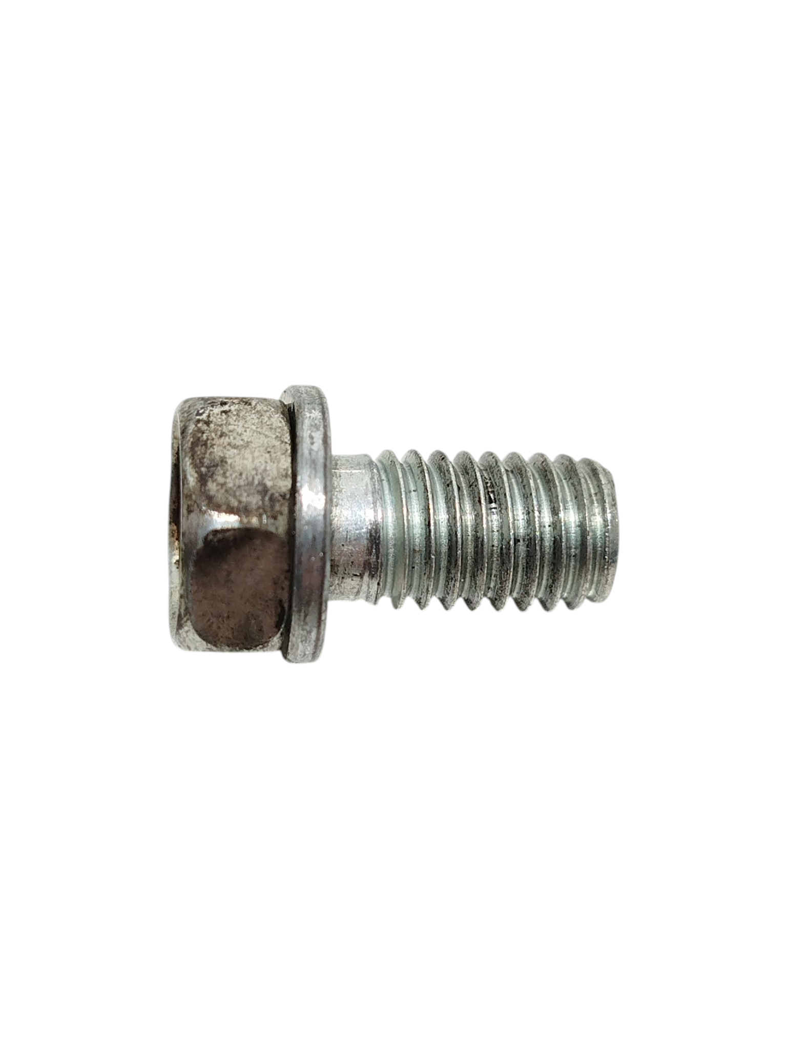 Miniatura 8