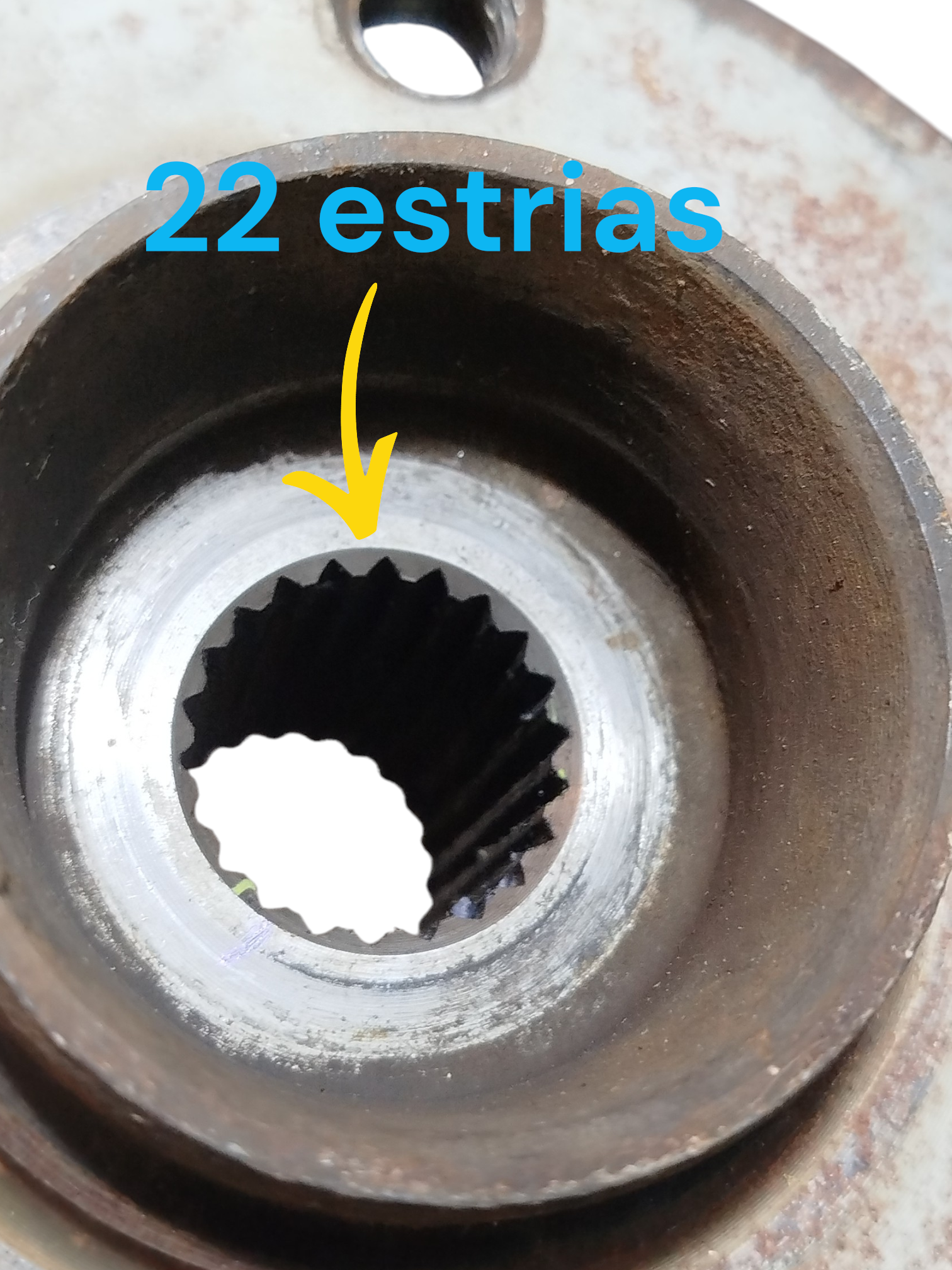 Miniatura 9