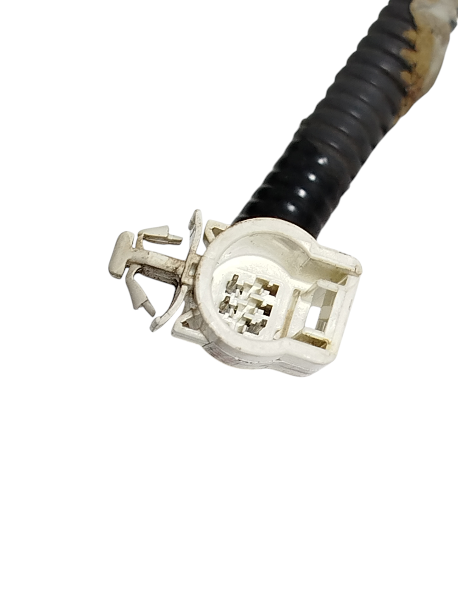 Miniatura 6