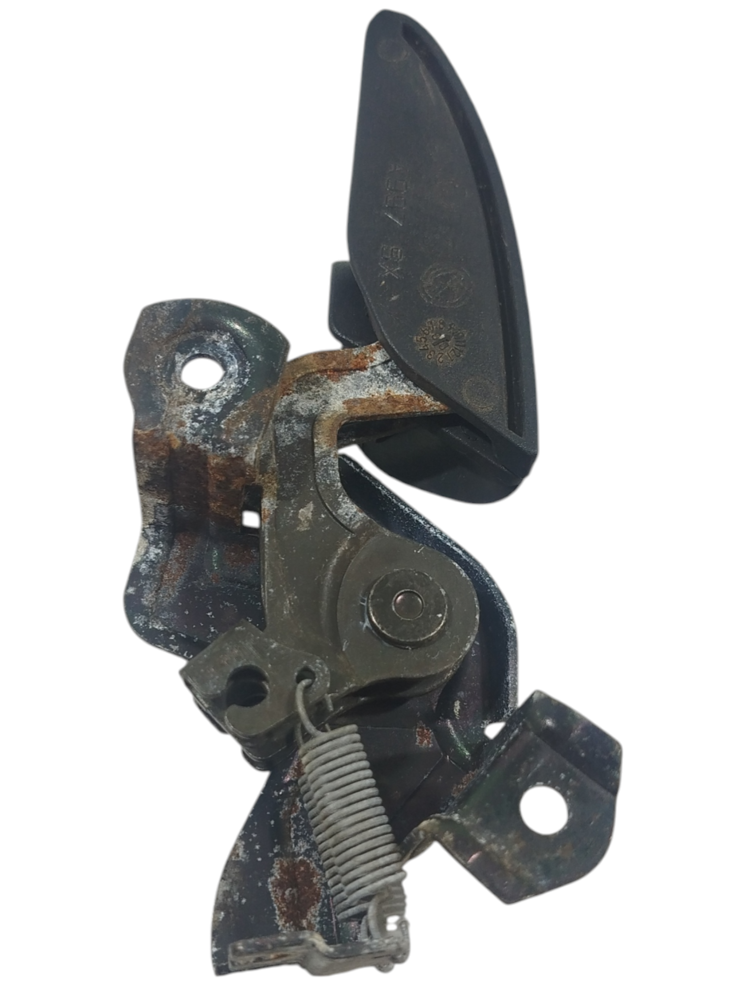 Miniatura 6