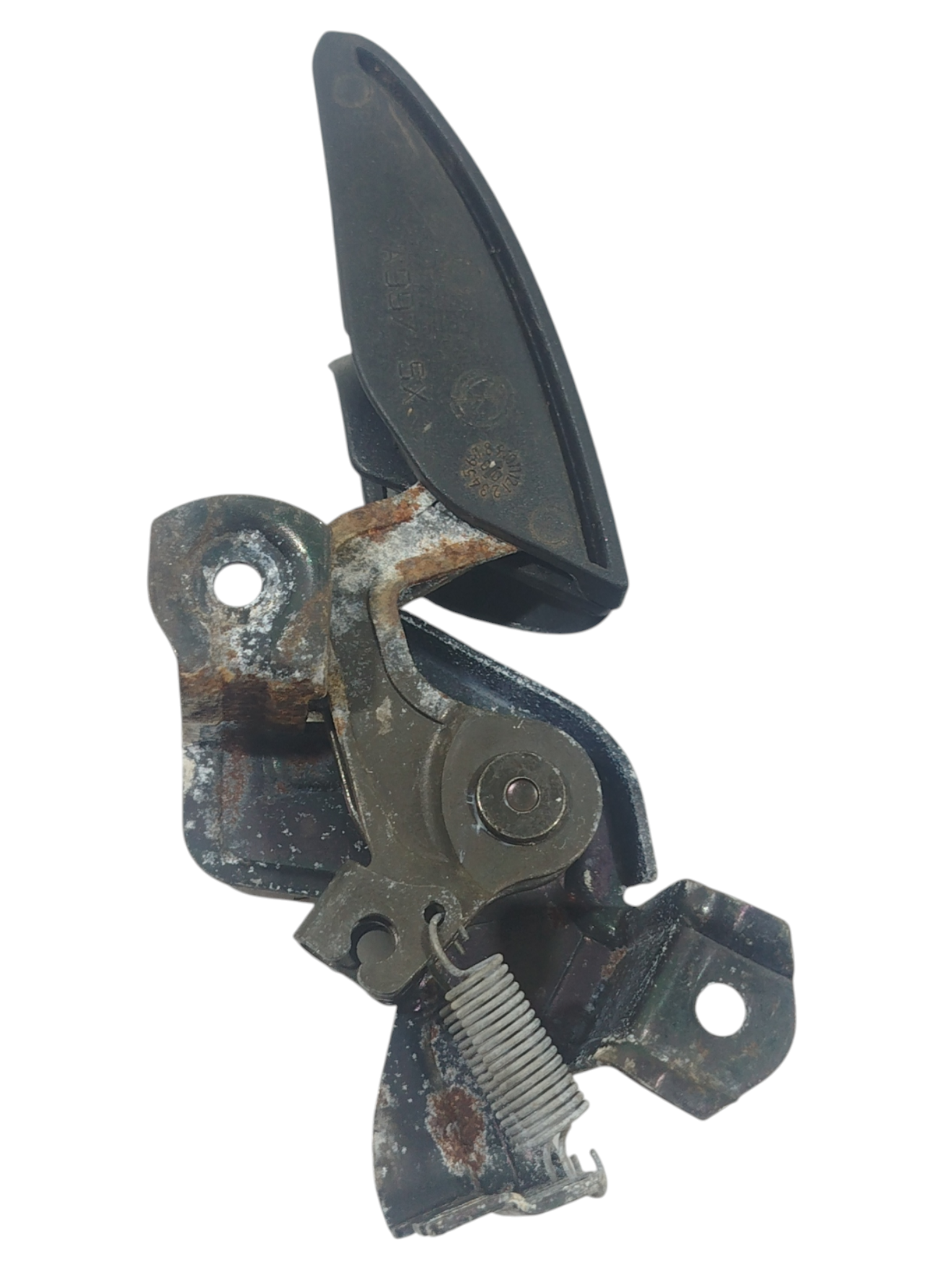 Miniatura 8