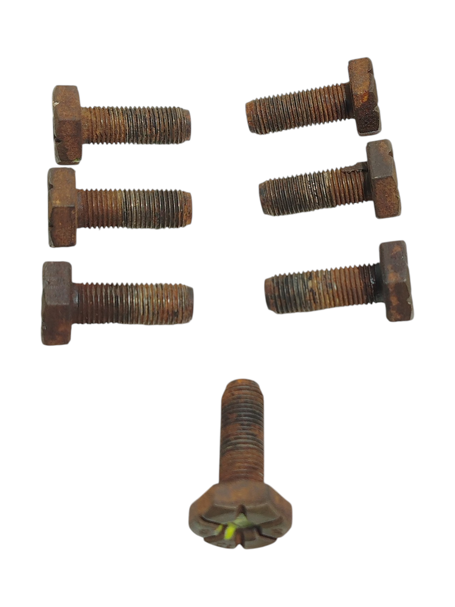 Miniatura 8