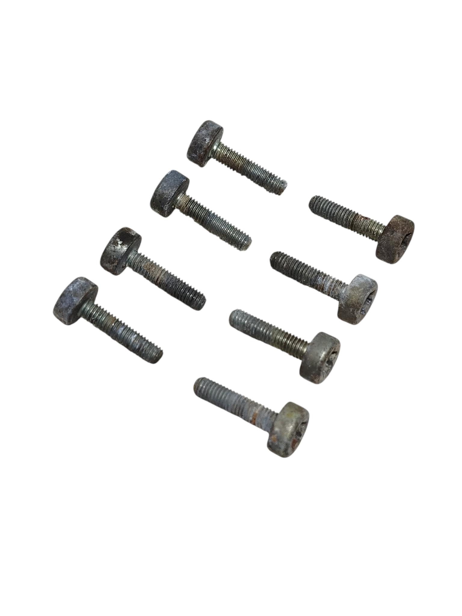 Miniatura 6