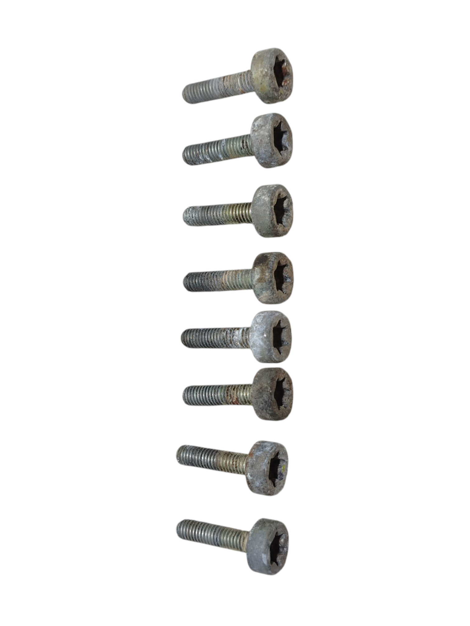 Miniatura 7