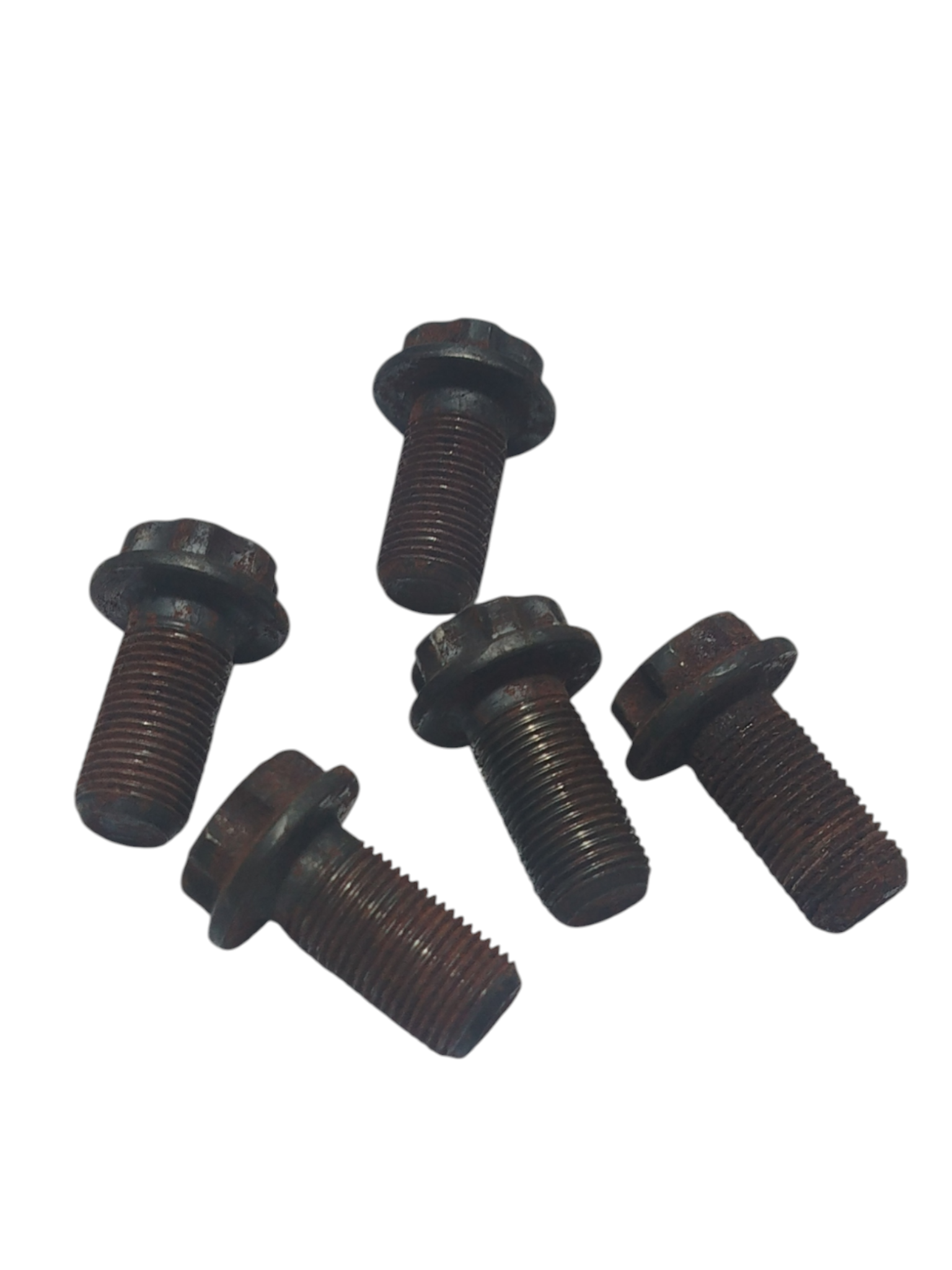 Miniatura 6